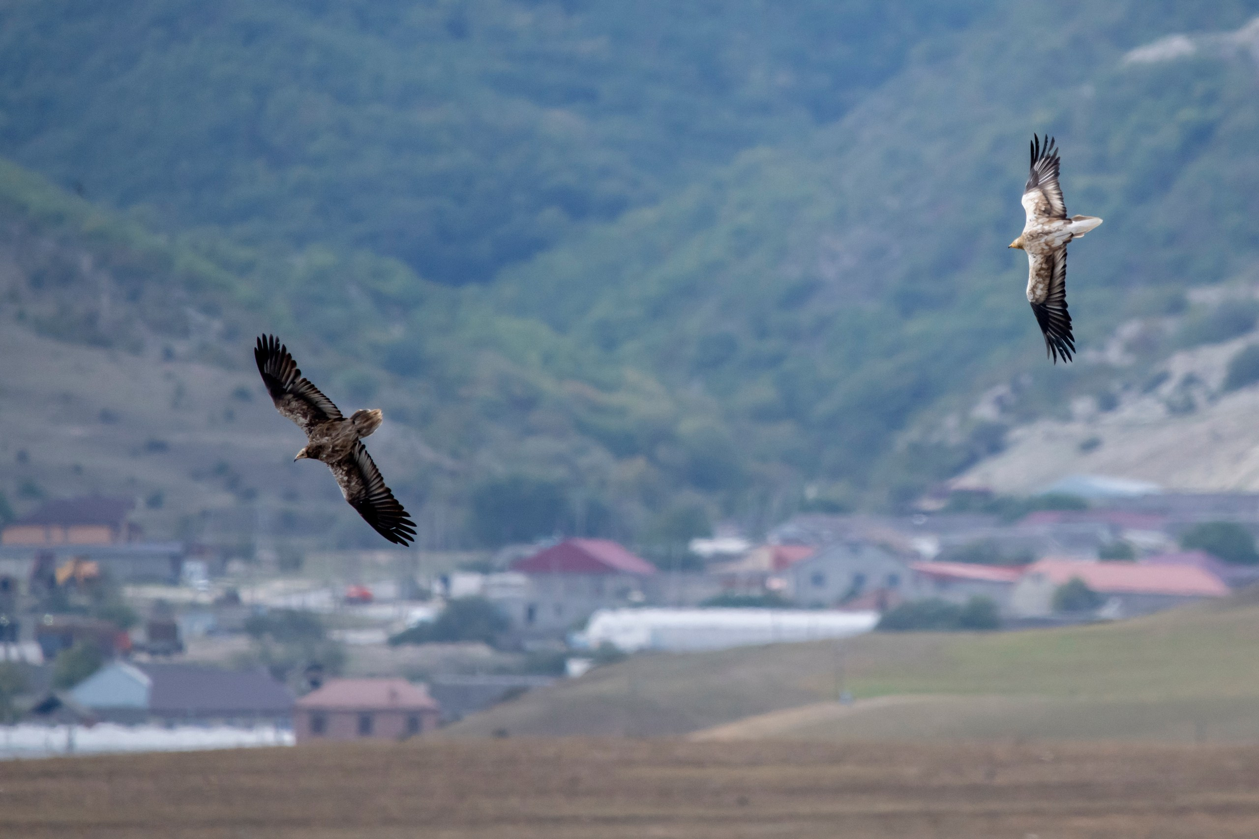 Природа Дагестана, сентябрь 2024. Foto-Zuev фотография как искусство