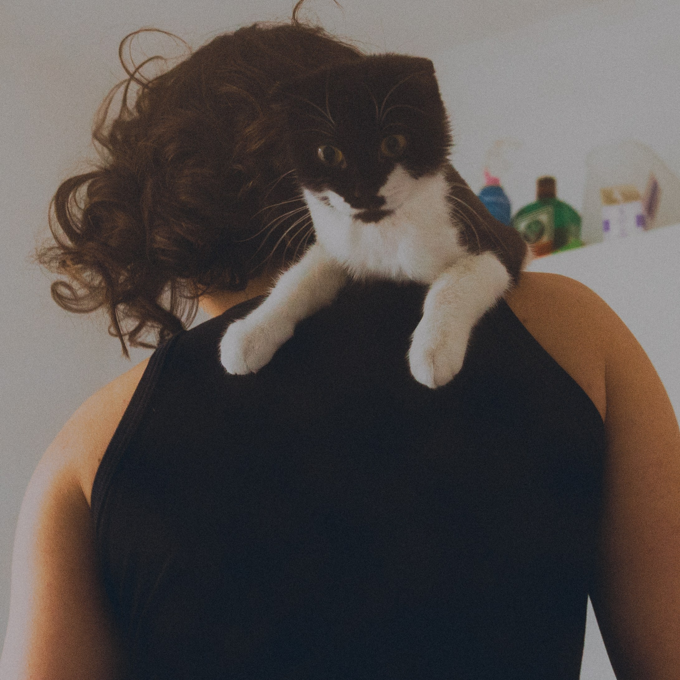 Personality. VISUAL ARTIST · KRONGAUZ ANASTASIA