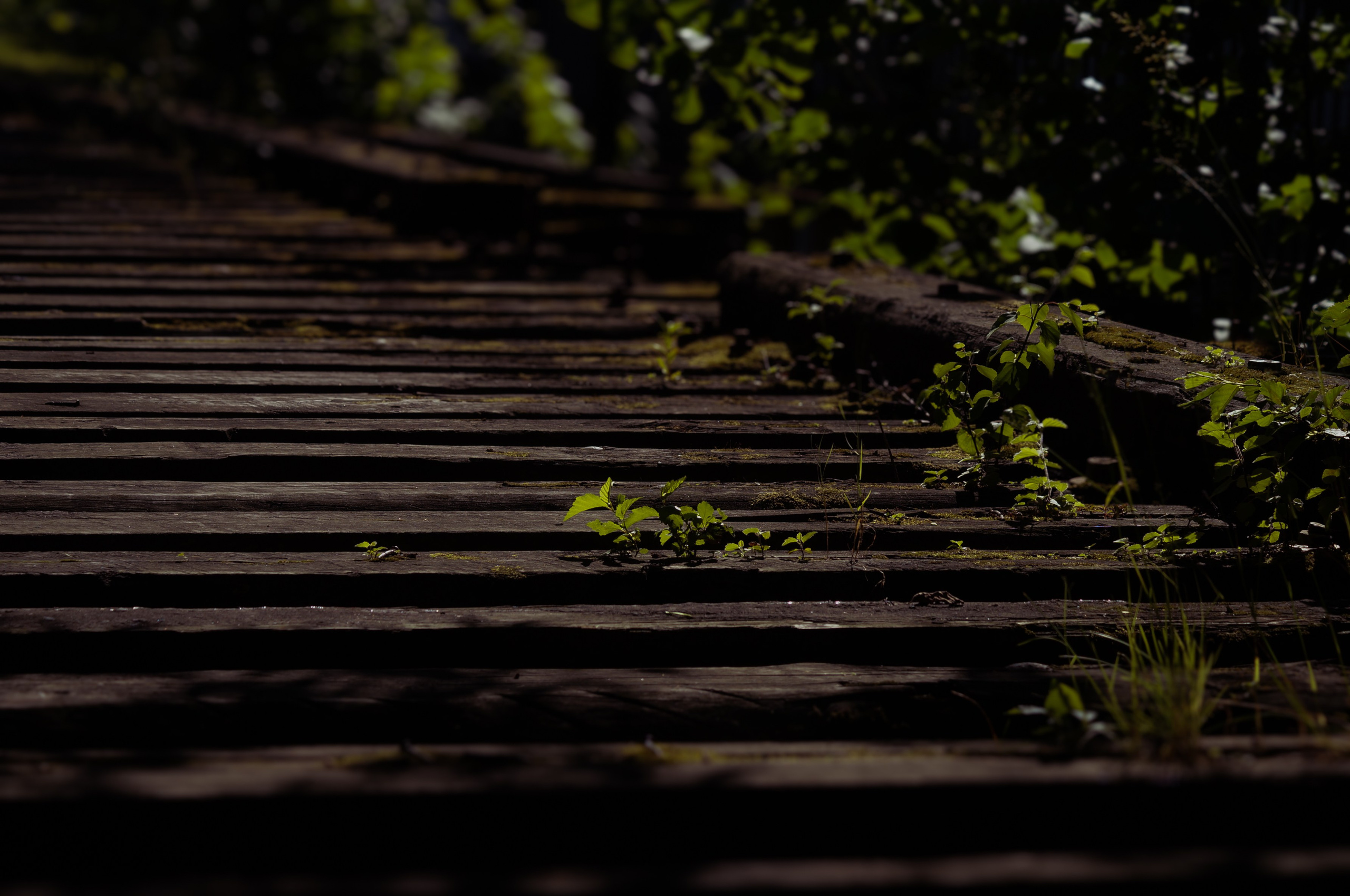 Городской пейзаж. Фотограф в Санкт-Петербурге