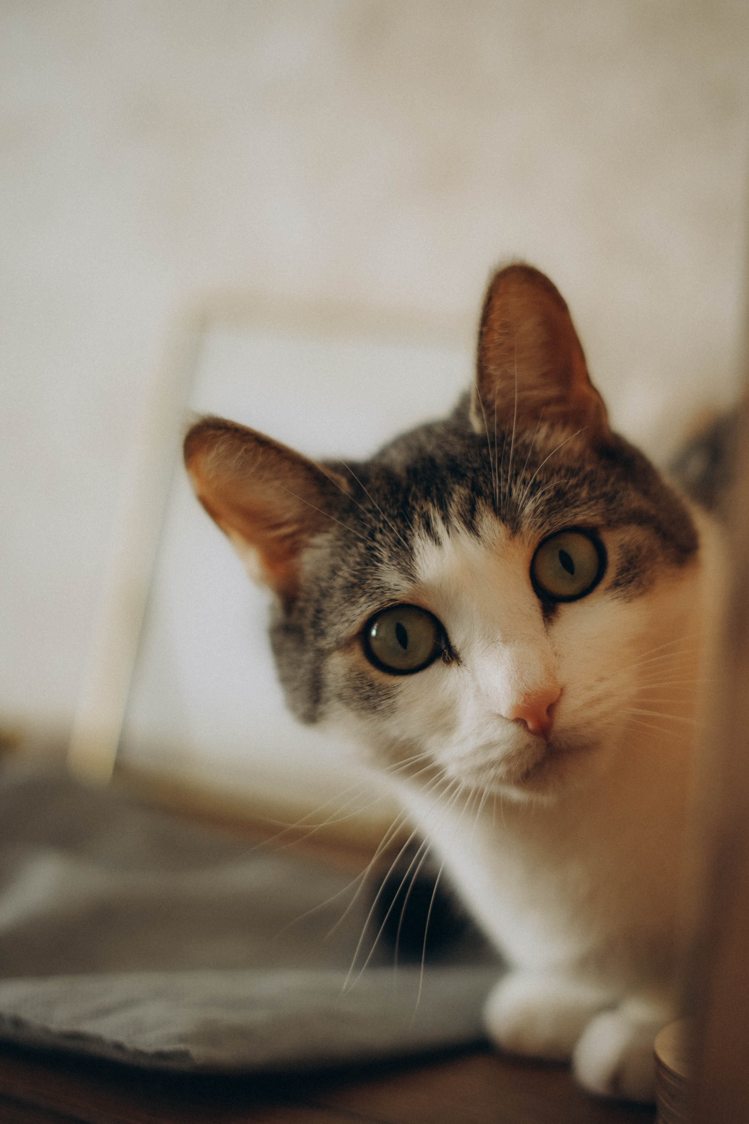 Аня и малыш. Портретный фотограф Дарья Бахматова | Нижний Новгород