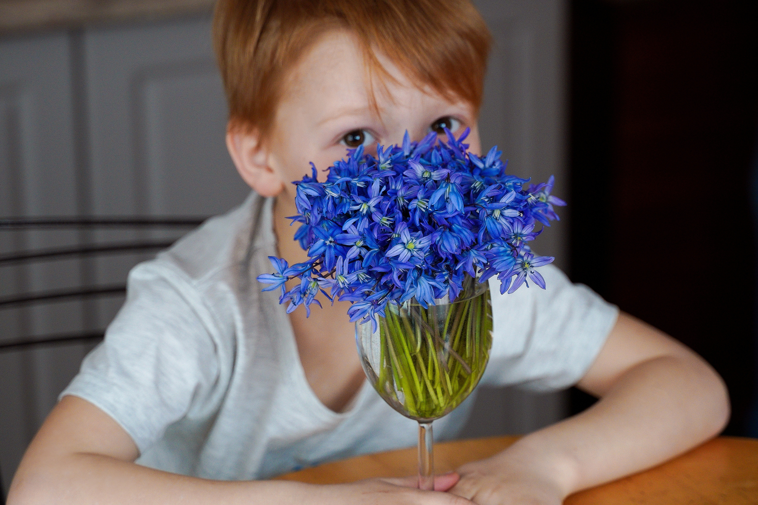 СЕМЕЙНЫЕ ЦЕННОСТИ. Профессиональный фотограф Виктория Соломкина. Майкоп-ЮФО