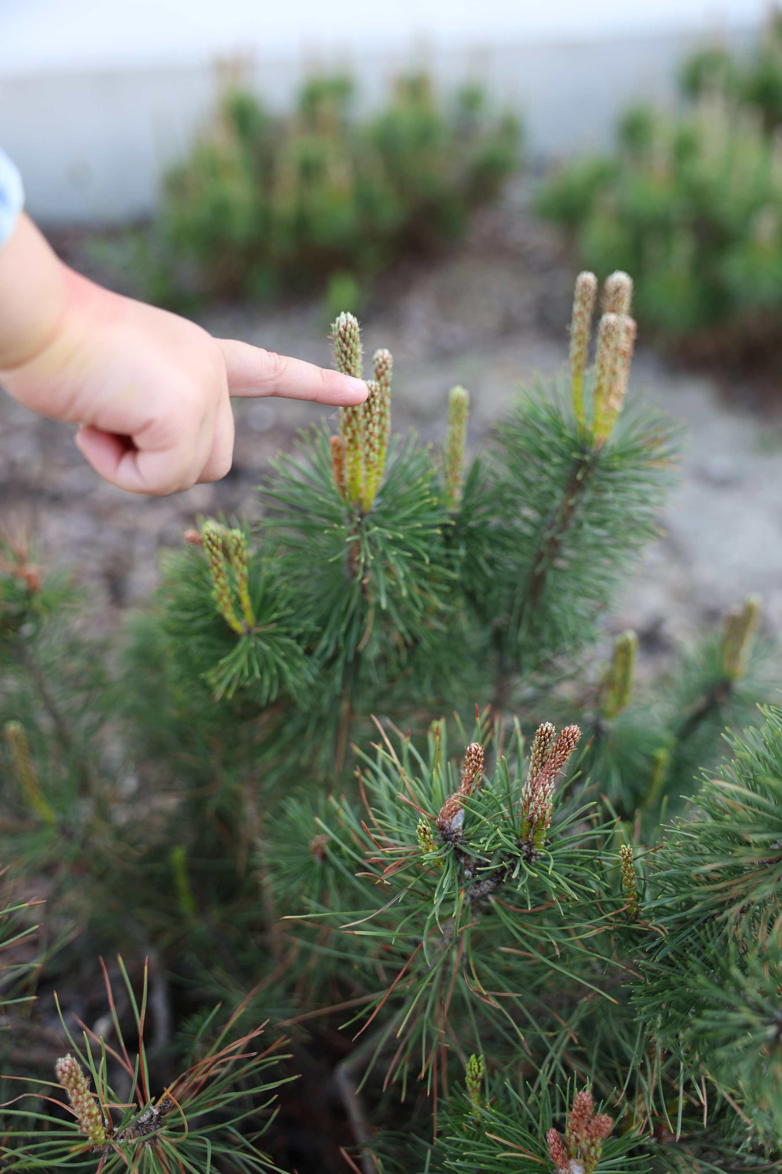 Катя, Мира и Полина. Прогулка в Москве. Ваш семейный newborn и lifestyle фотограф в СПБ Наталья Журавлева