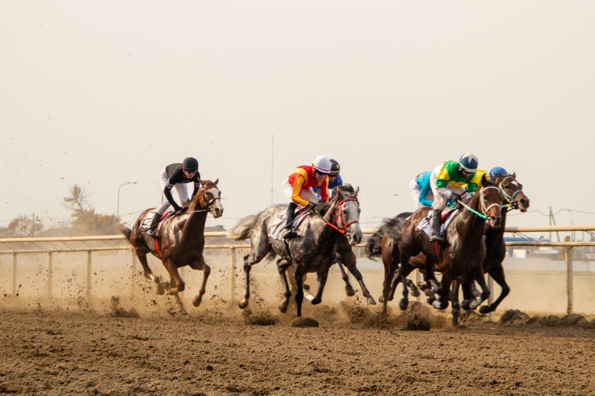 Закрытие скакового сезона на Краснодарском ипподроме. Репортажный, промышленный и маркетплейс-фотограф Дмитрий Чернат