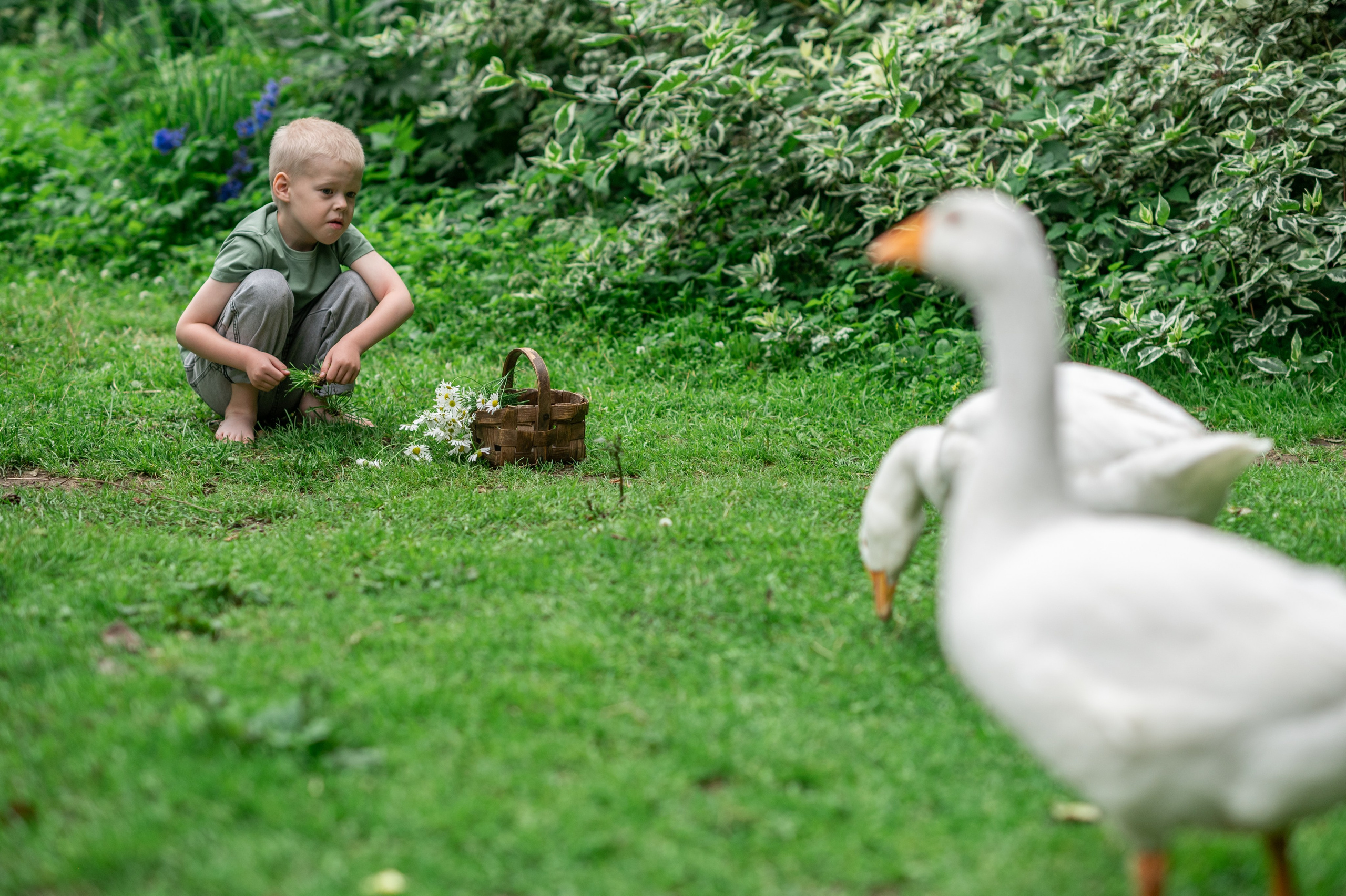 В САДУ. Семейный фотограф Екатеринбург Лора Мур
