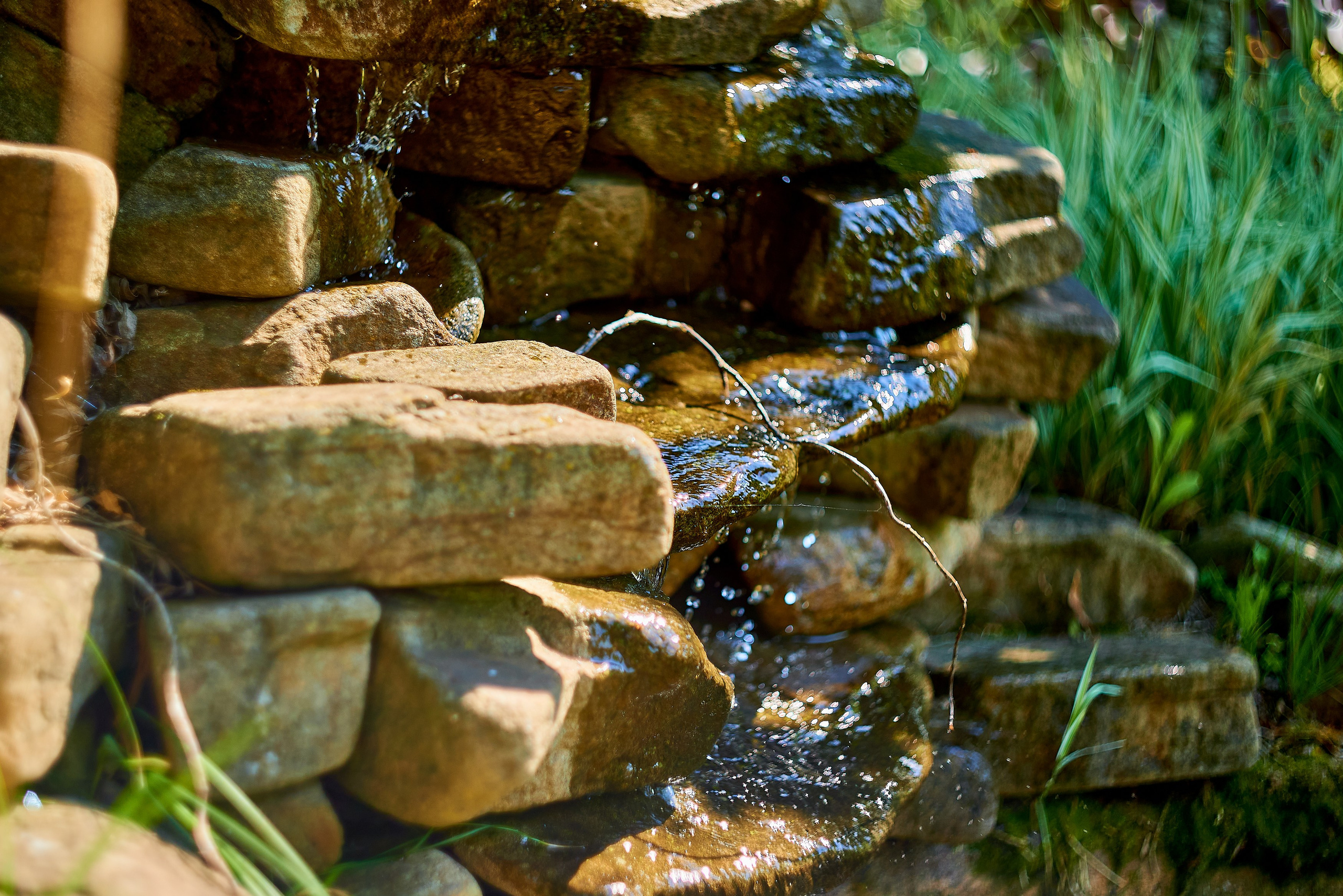 Nikon D850+Helios 44-2 2/58