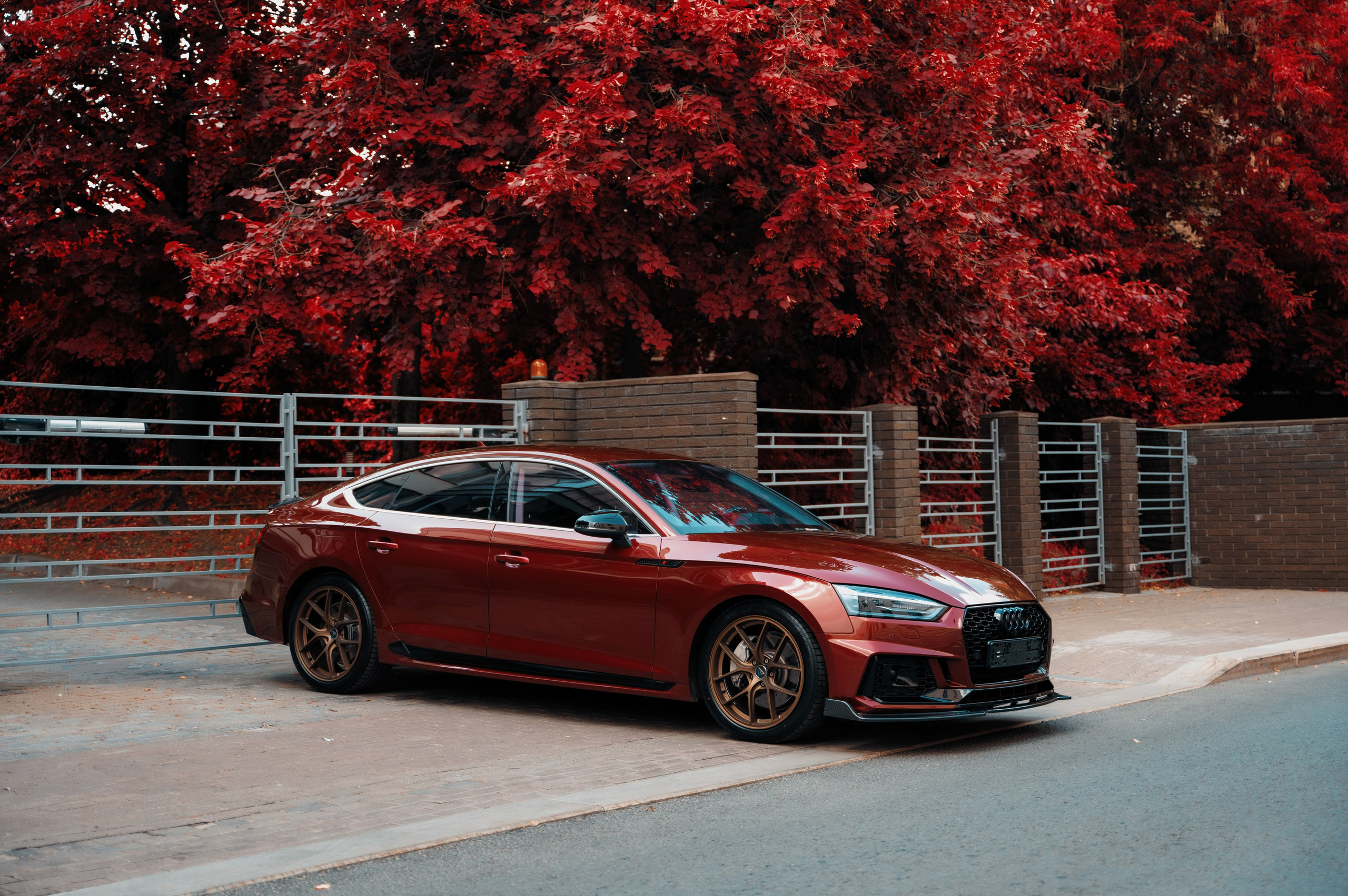 Audi. Фотограф Вадим Лакомкин