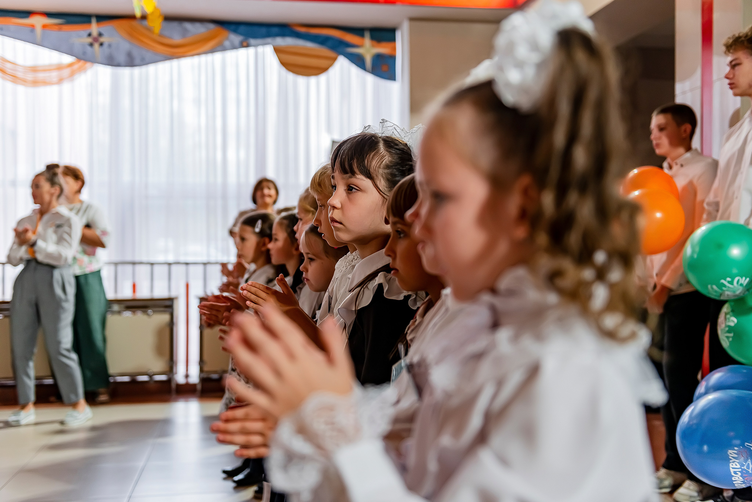 1 «В» | Гимназия № 3| г. Белгород |2024. ALBUMIA