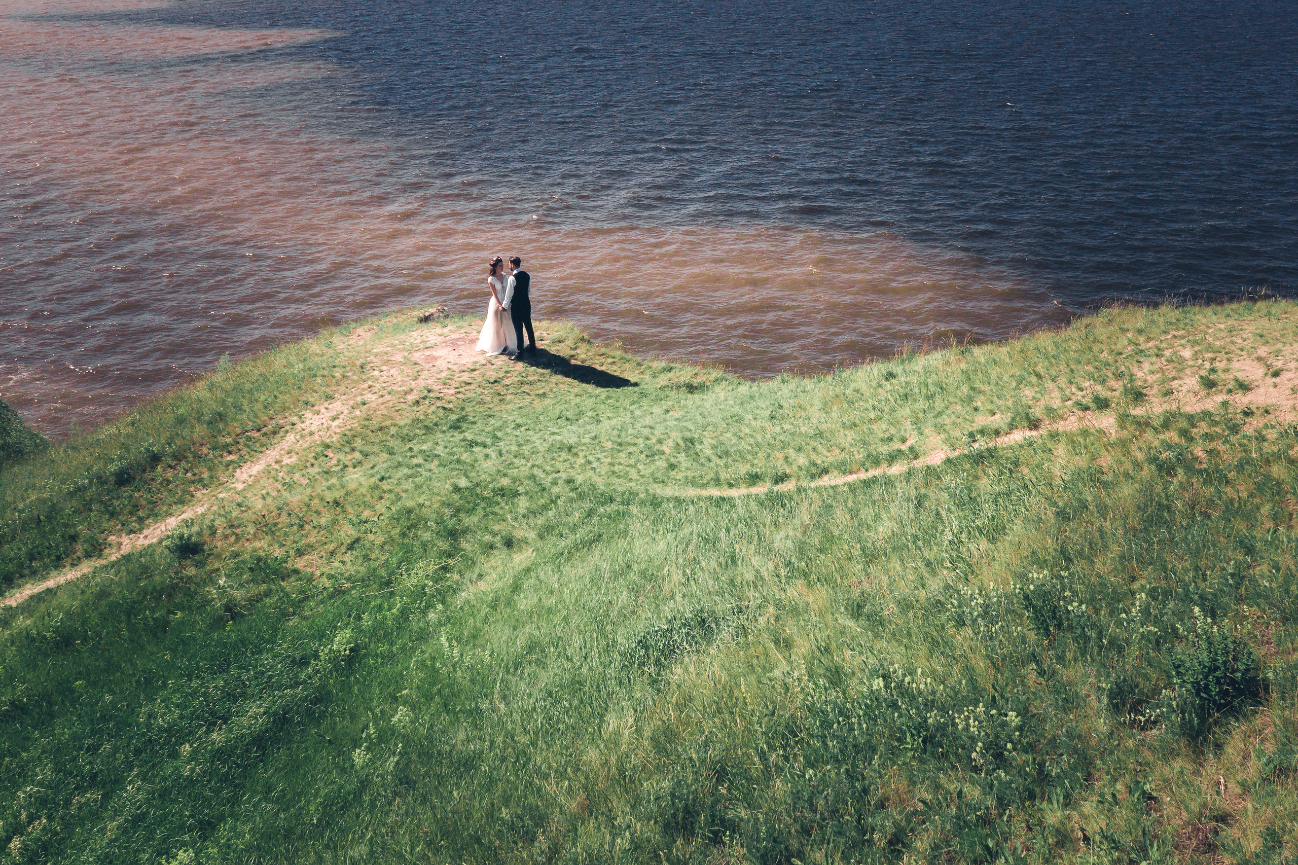 Жених и невеста позируют в красивой локации с деревом и морем