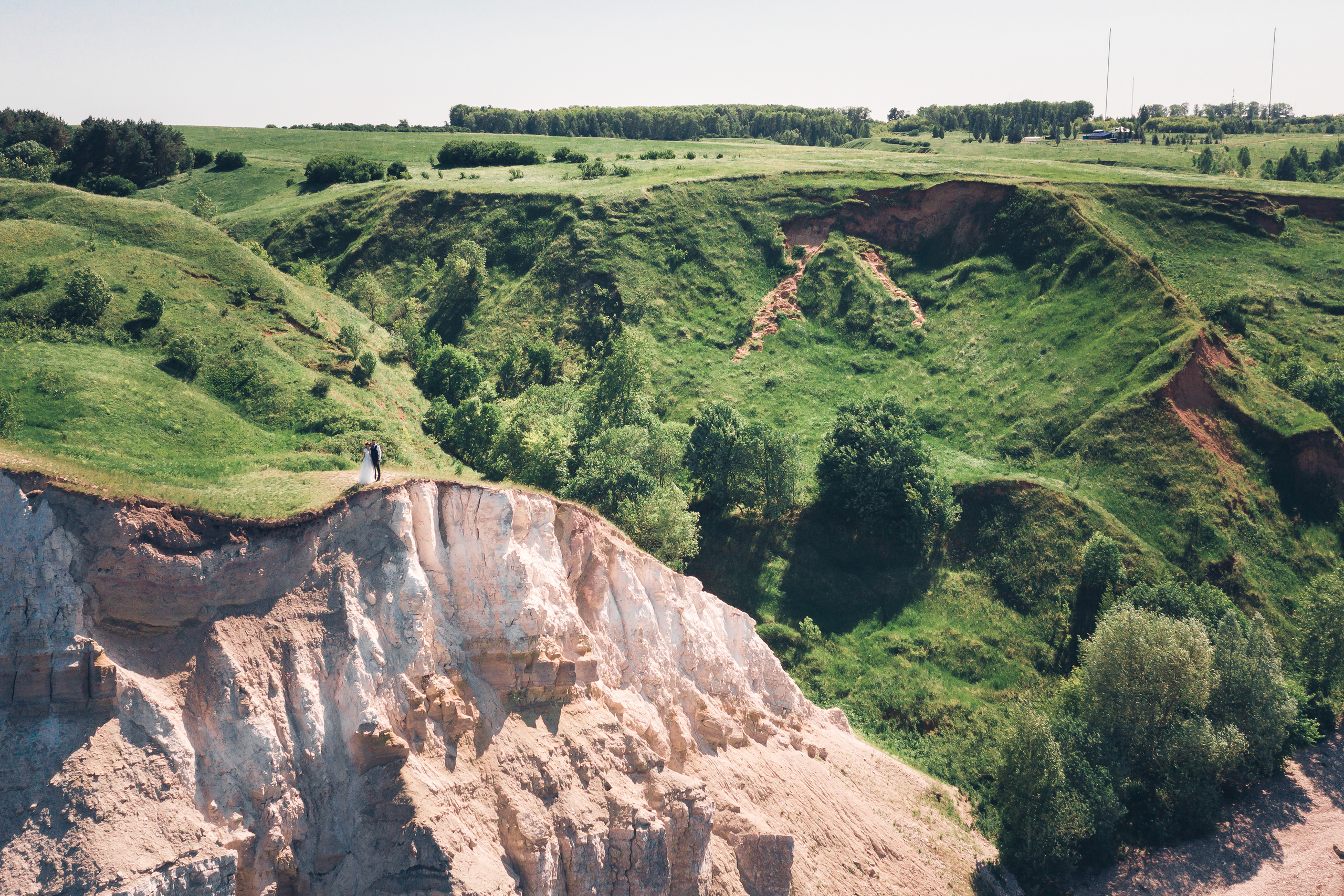 Жених и невеста позируют в красивой локации с деревом и морем