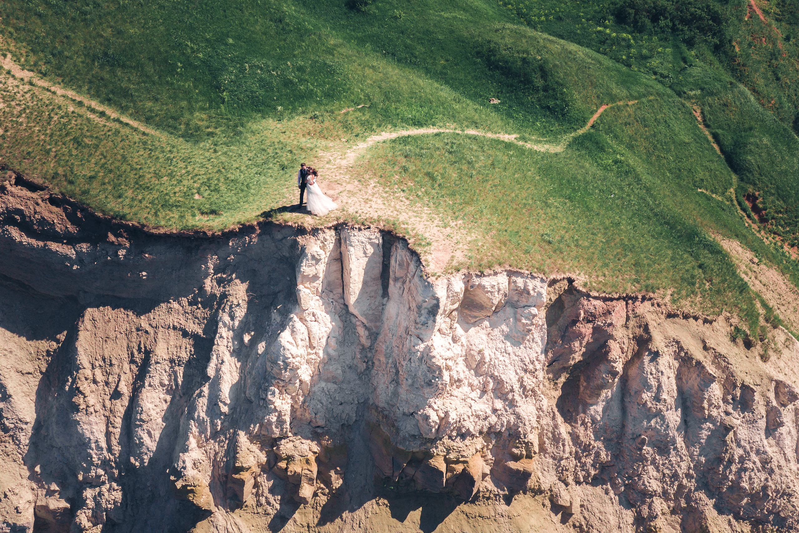 Жених и невеста позируют в красивой локации с деревом и морем