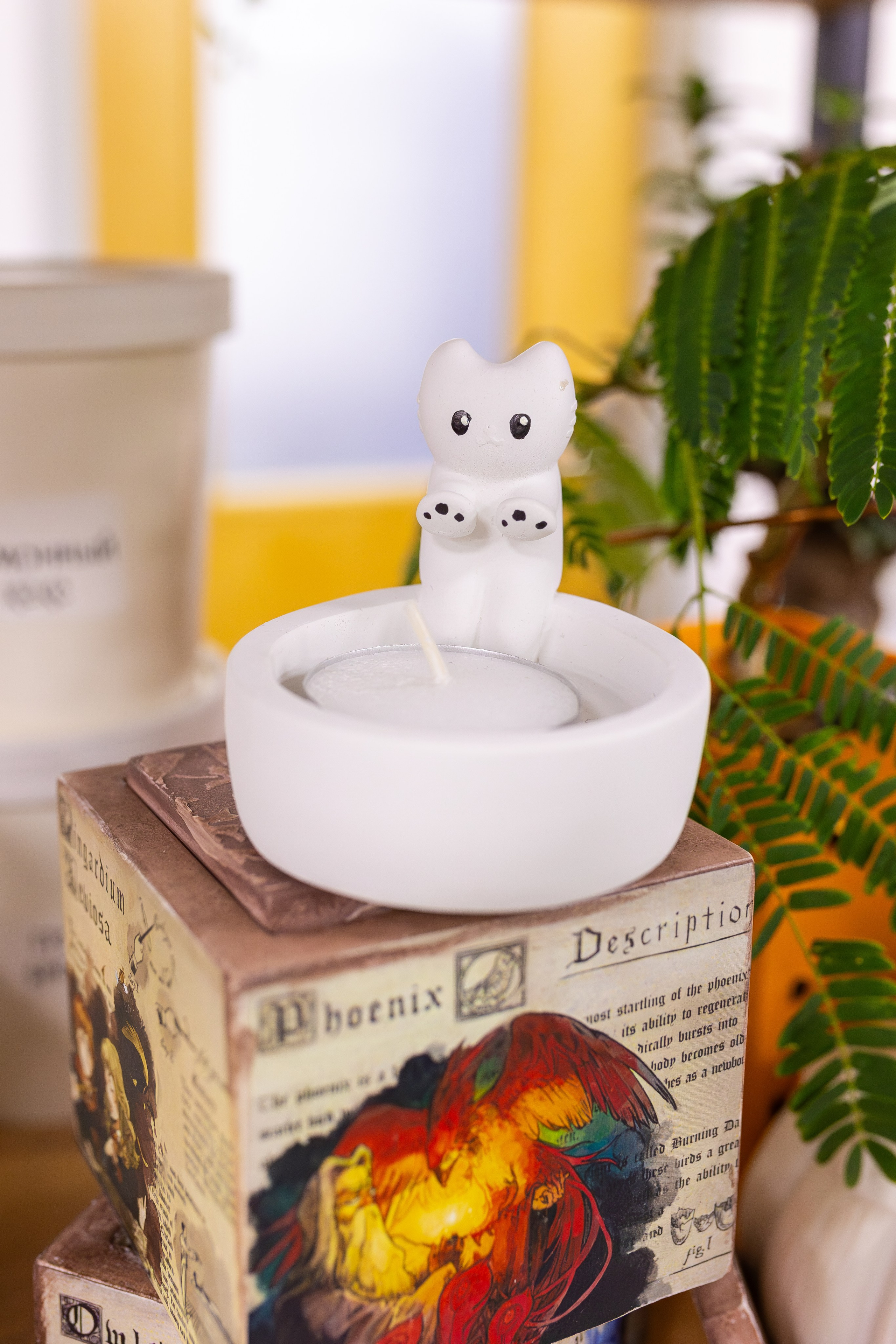 Орхидиум сентябрь 2025. Александра Куликова фотограф, Москва