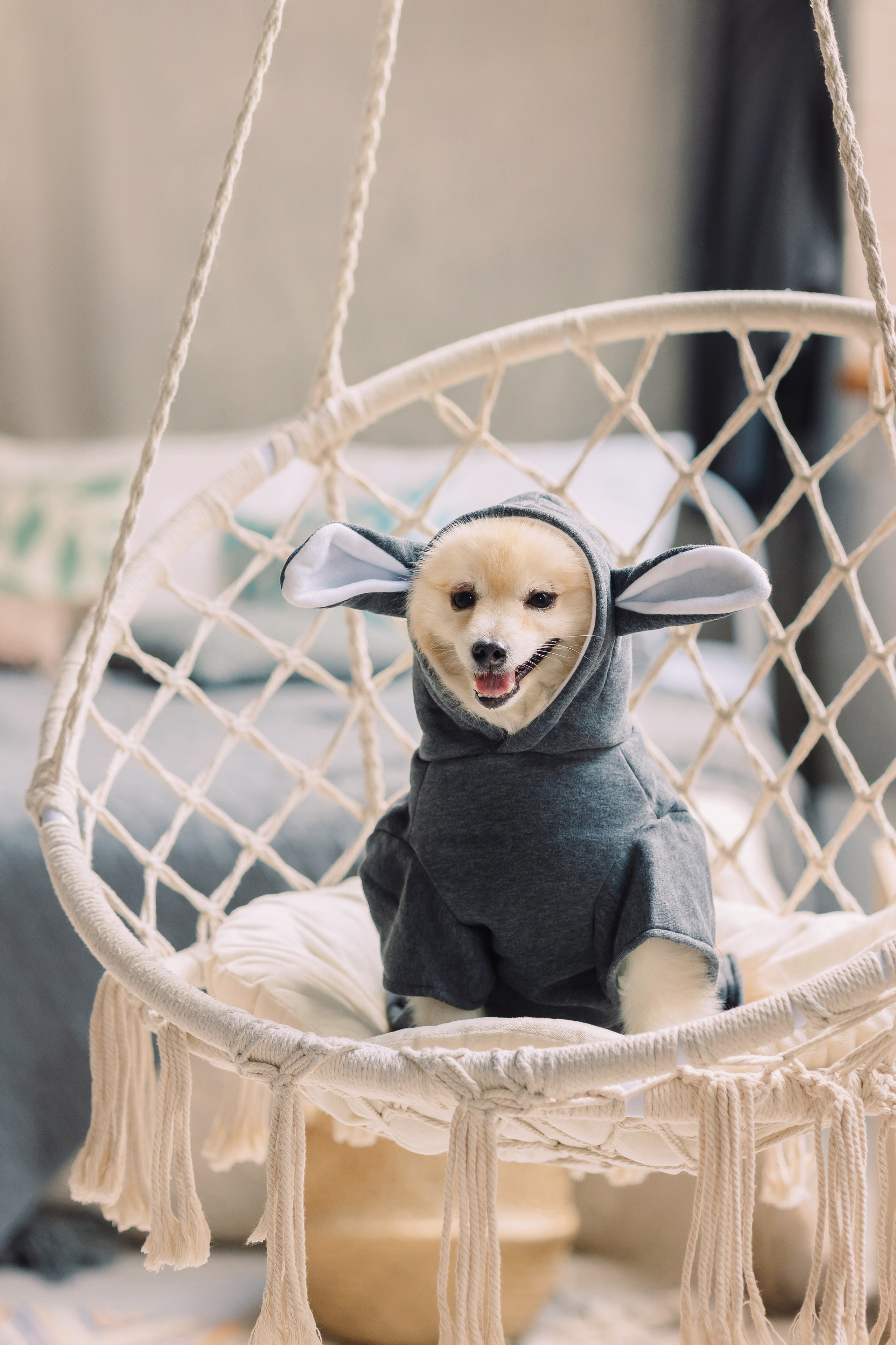 Магазин Friend of mine. Фотограф-анималист Елена Радченко, Москва