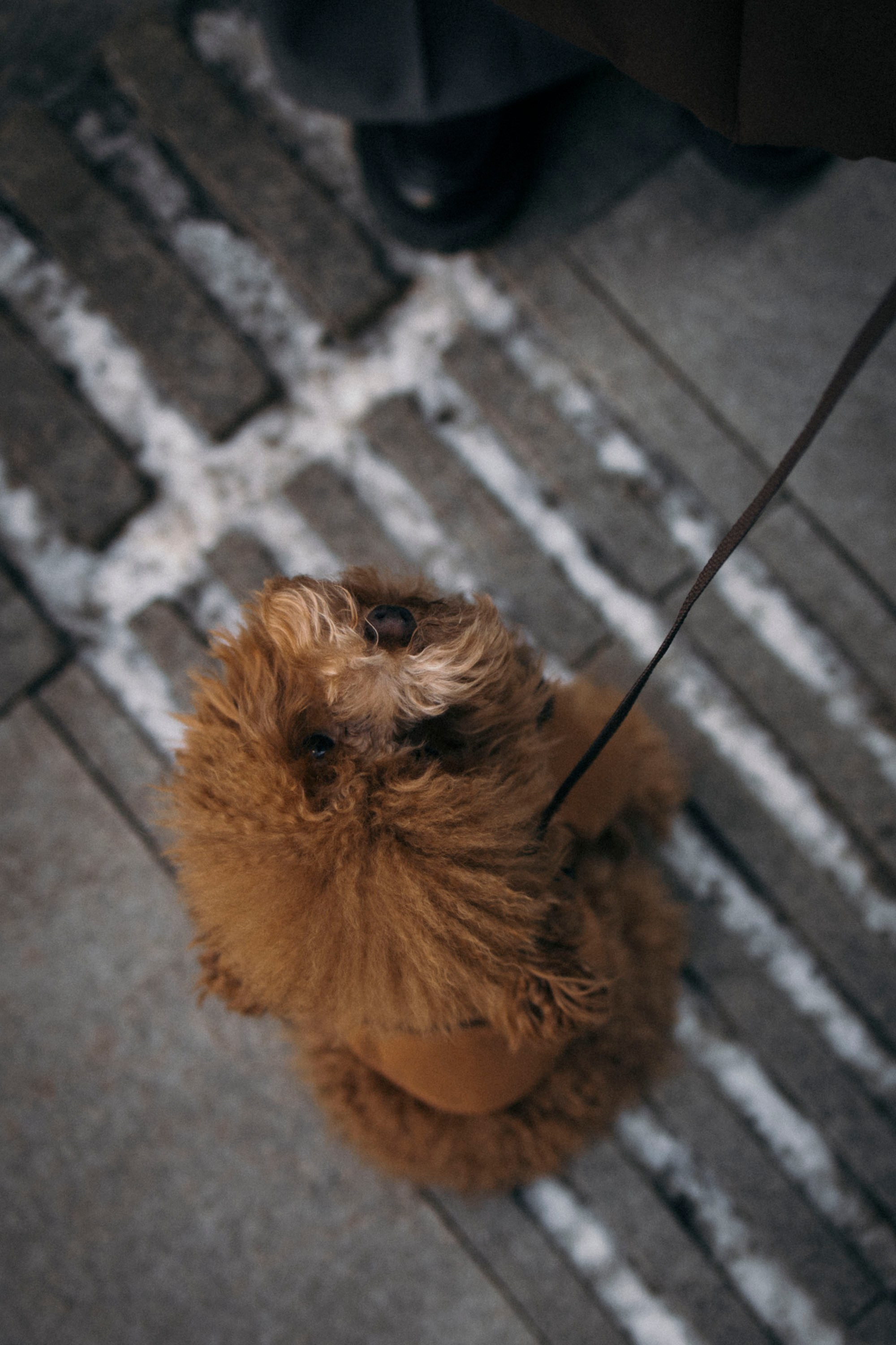 Мария и Ариша. Фотограф Виктория Куприянова