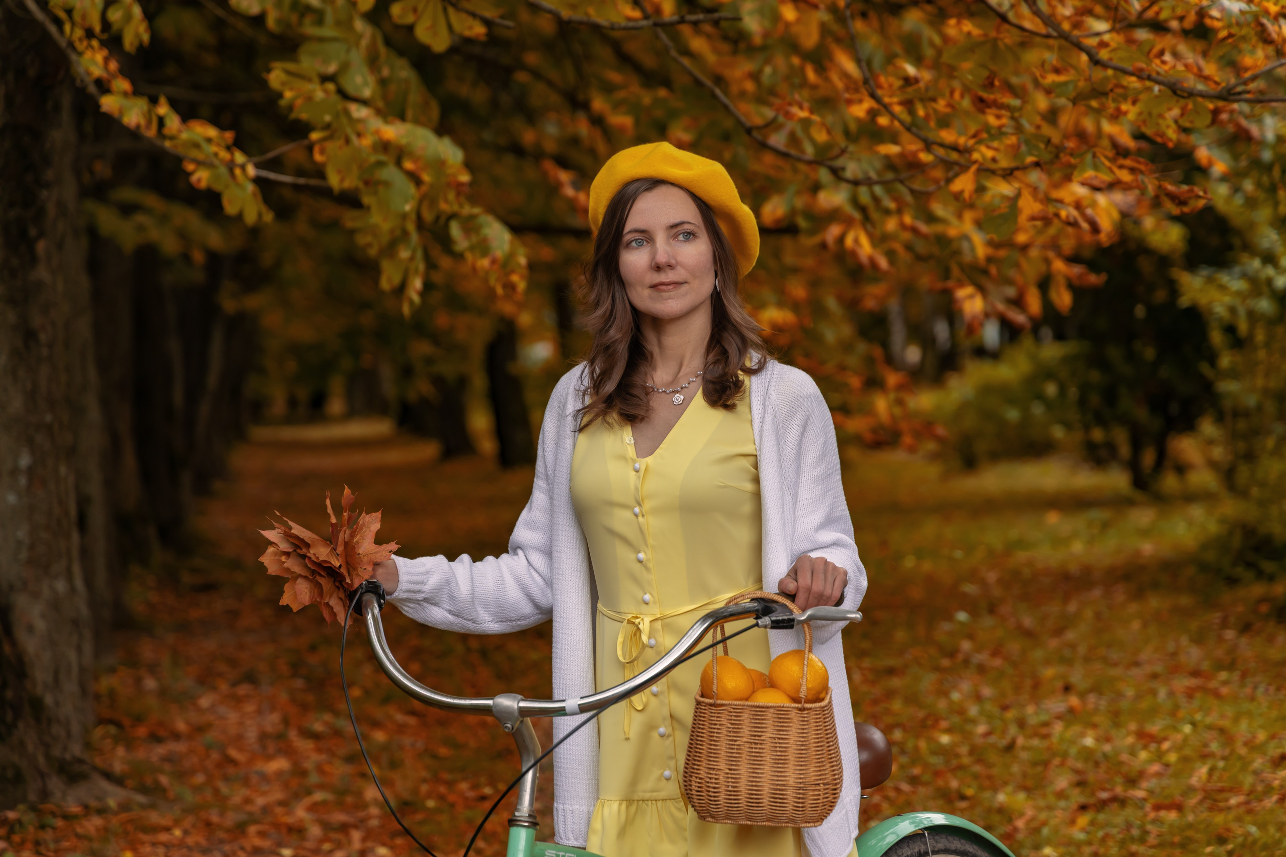 Жёлтая осень и ретро-велосипед. Репортажный, семейный и студийный фотограф в Москве Демин Алексей