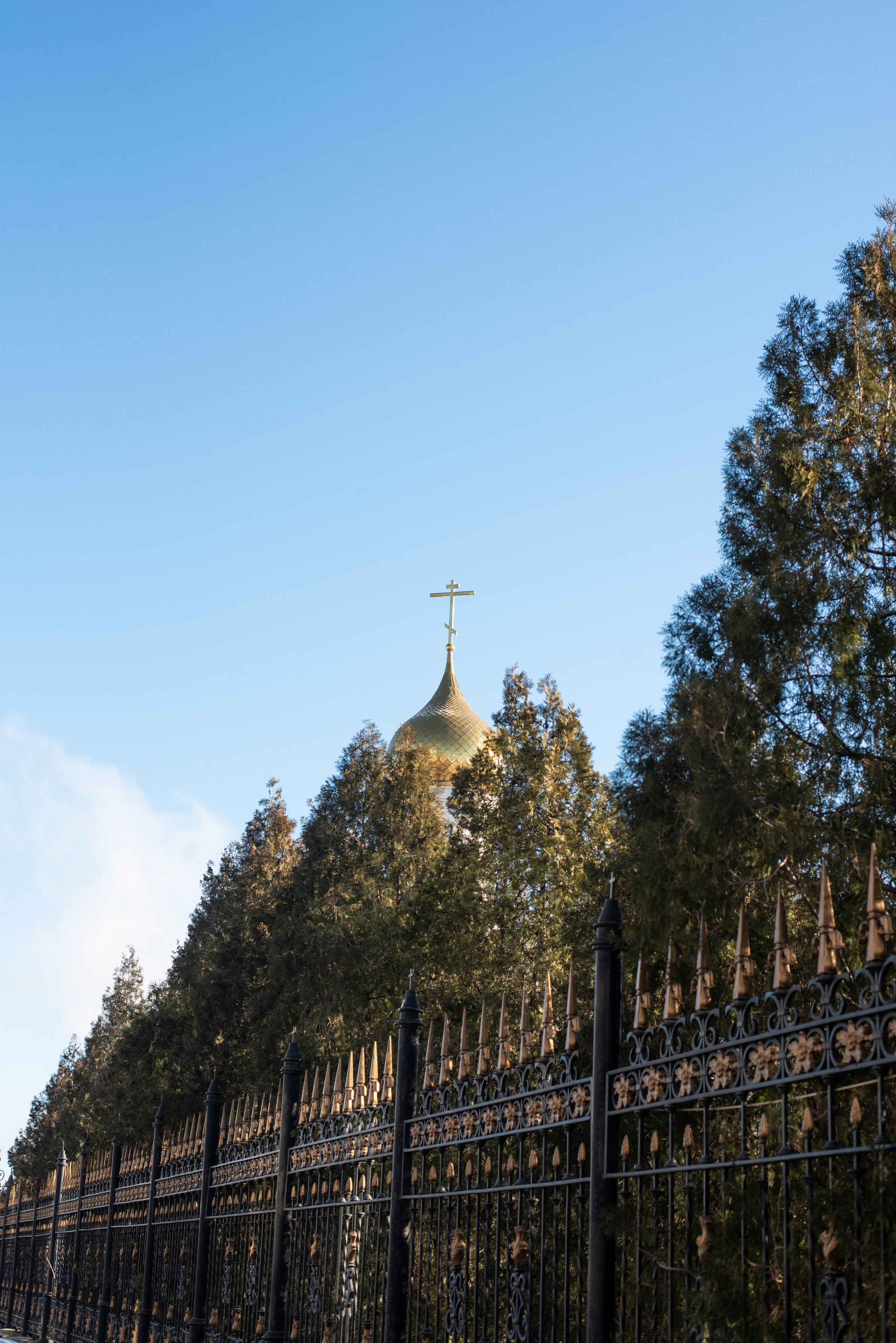 Крещение Вероники. Главная