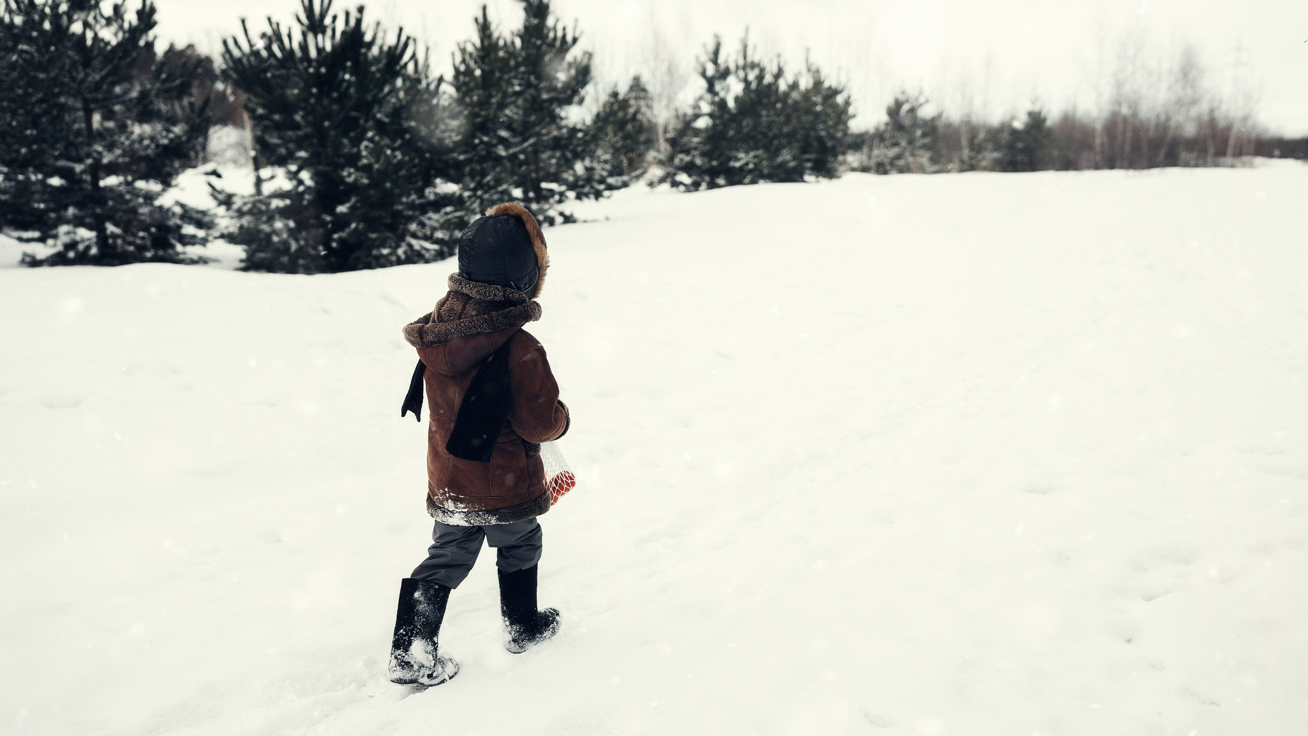 Уличная новогодняя фотосессия. Свадебный и репортажный фотограф в Воронеже Роман Янко