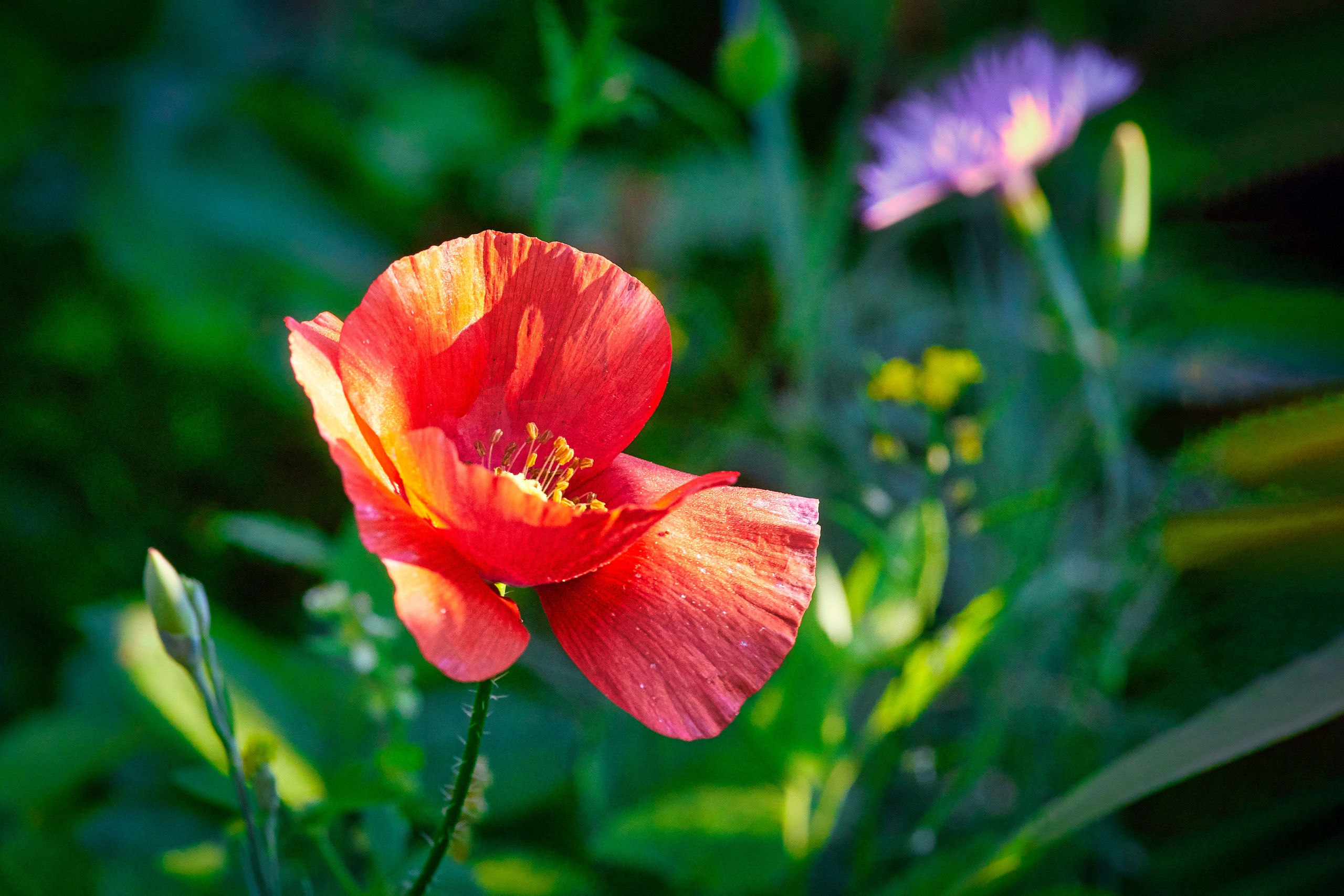 Наша мать — природа. Фотограф Владимир Артамонов