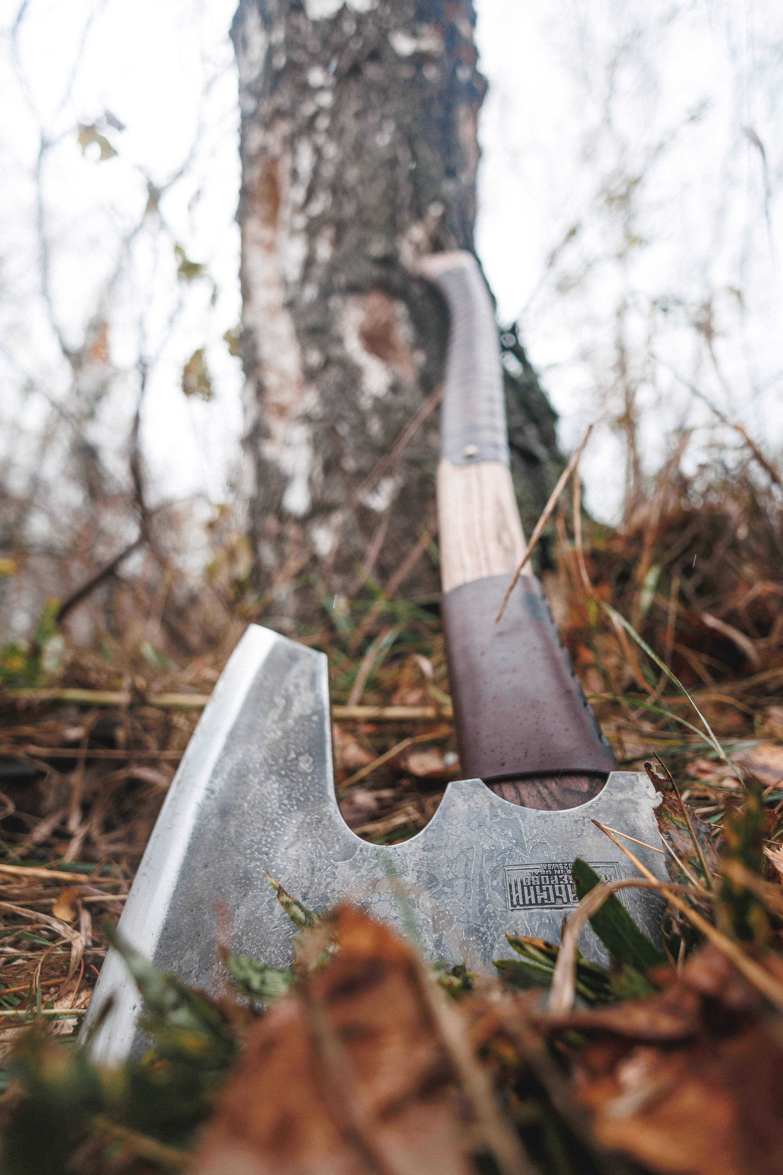 ДМИТРИЙ. Foto-petrovsky.ru