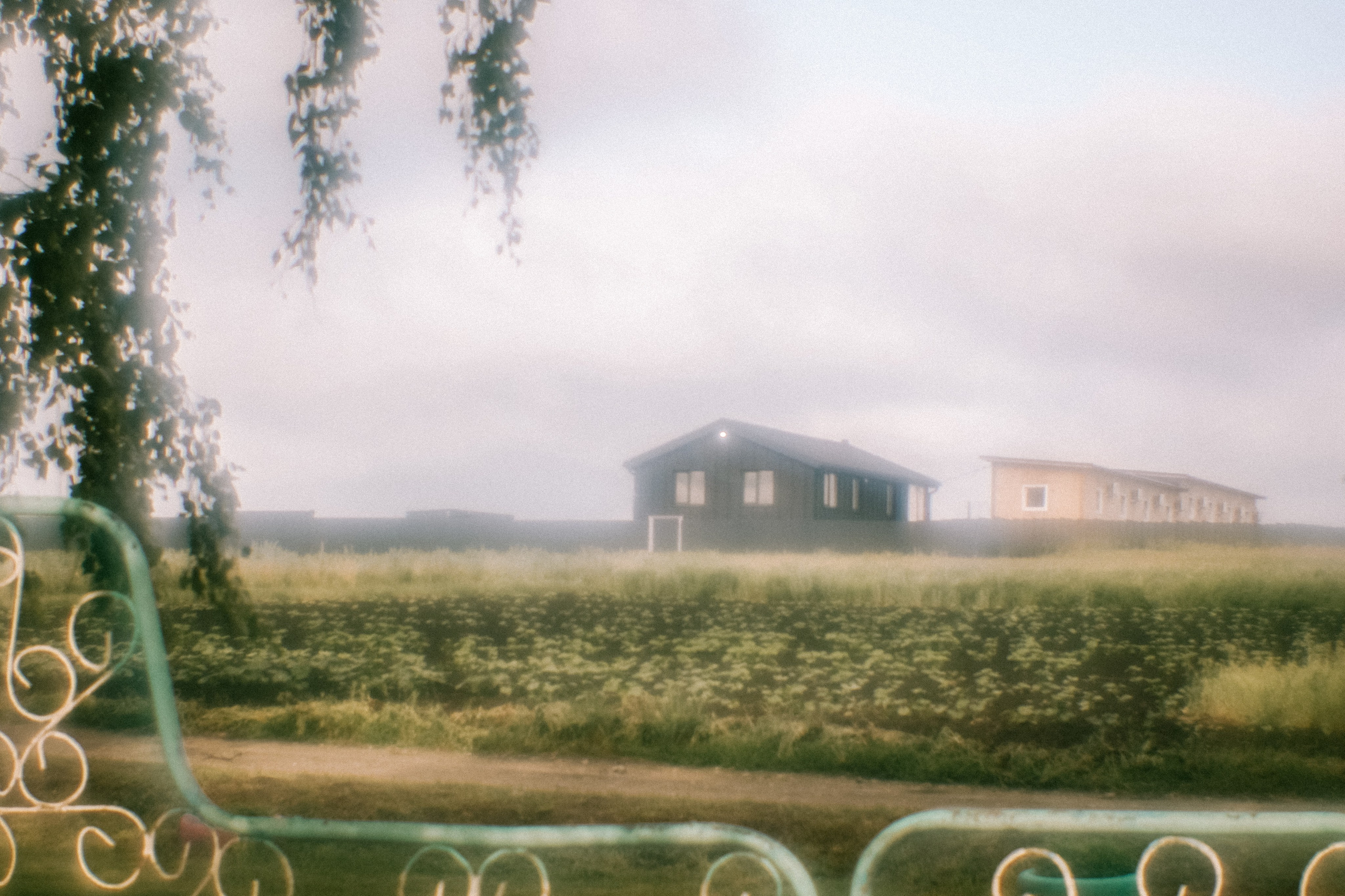 Поэзия повседневности. Семейный фотограф в Москве Марина Аргунова