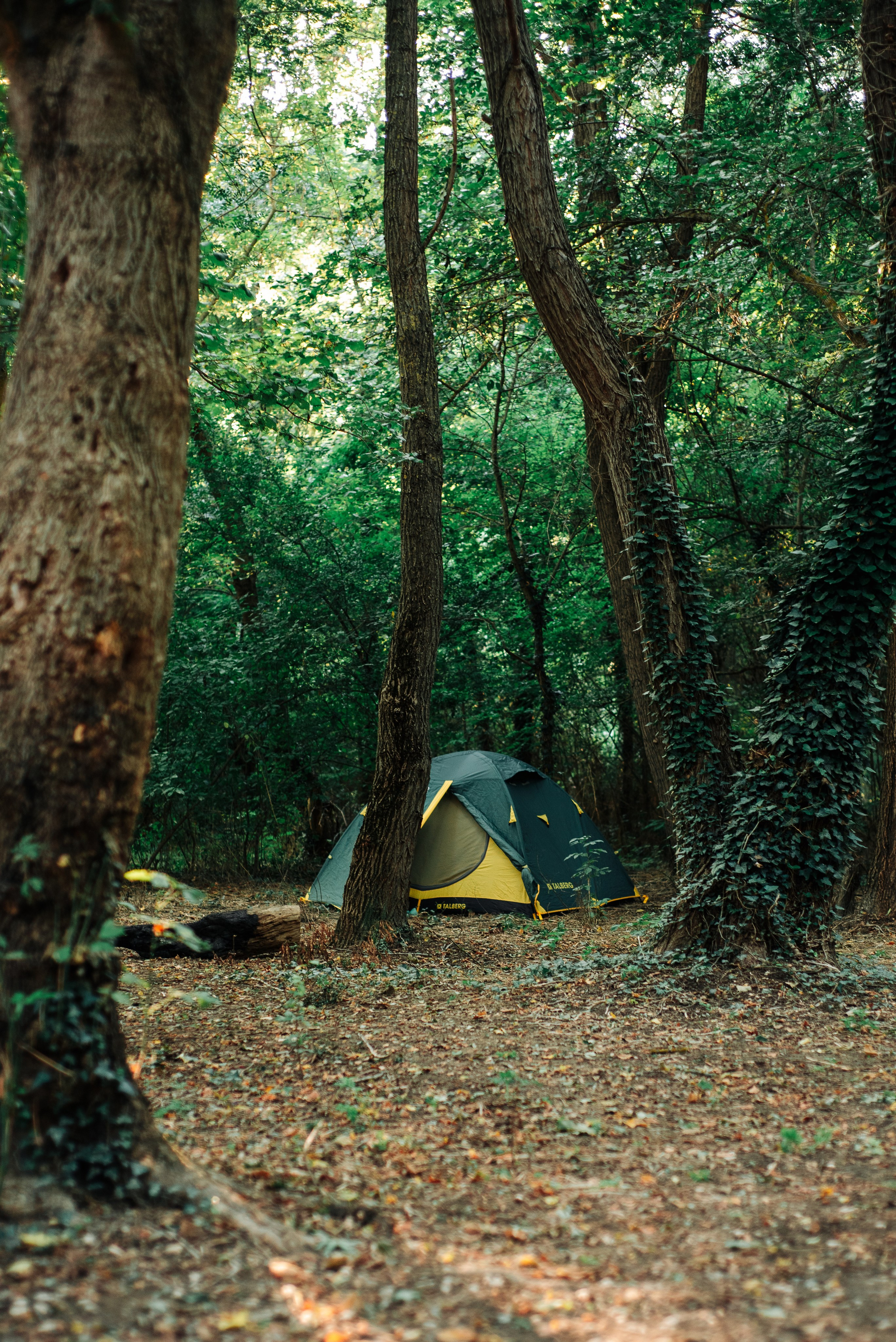 Пейзажи. Дмитрий Шалыгин — Ваш фотограф в Севастополе и Крыму