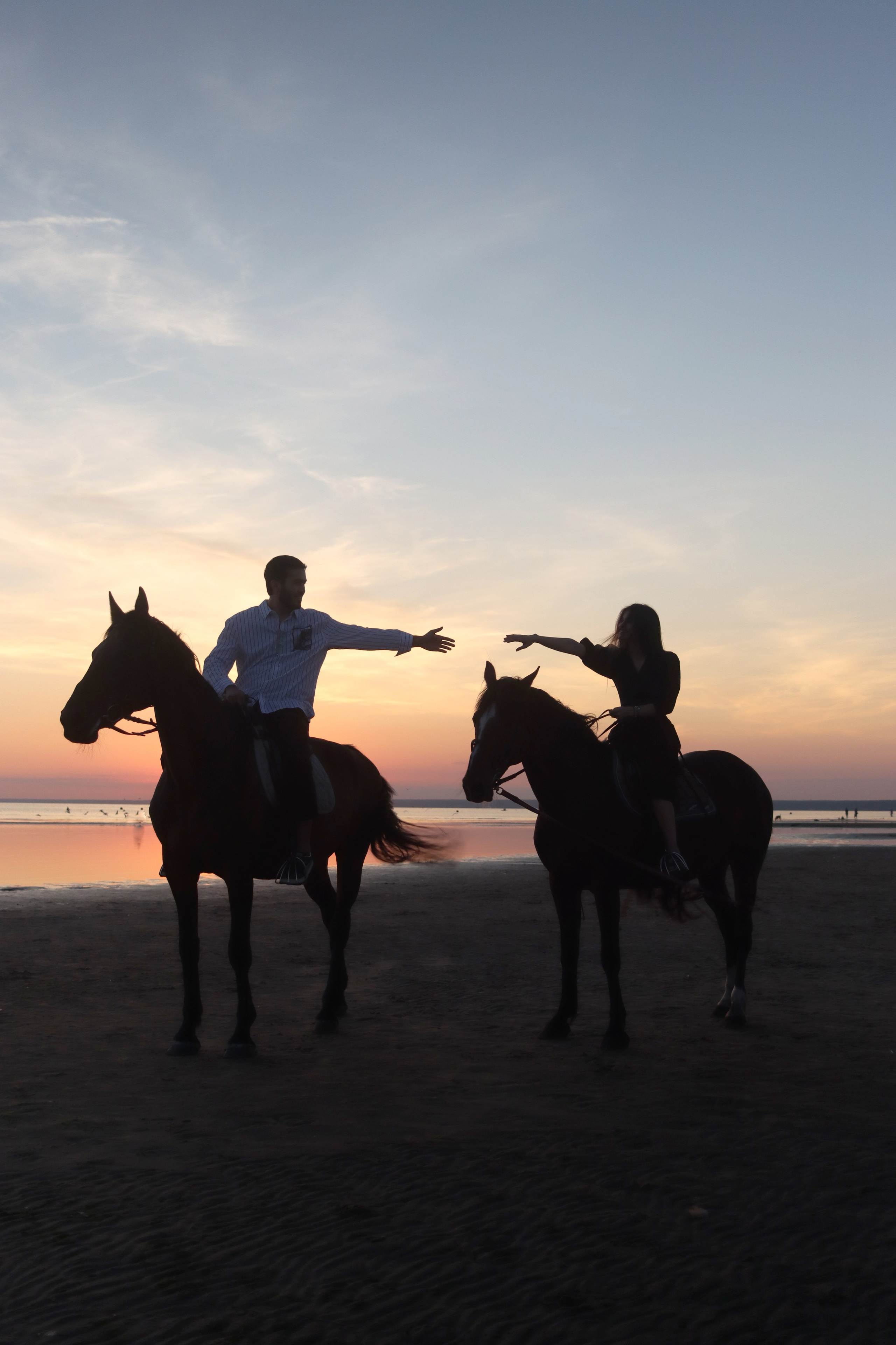 Love story с лошадьми