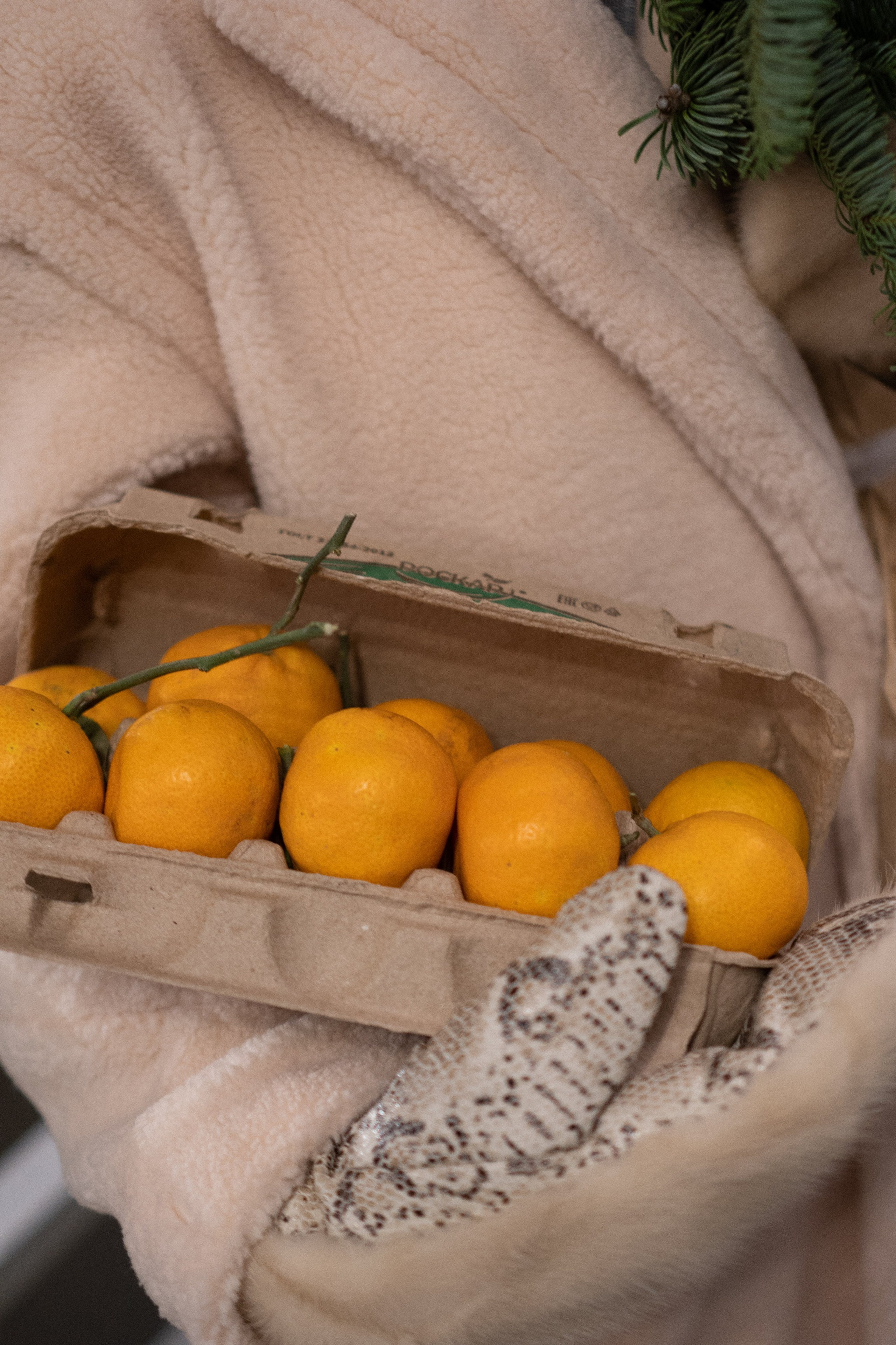 Зимняя сказка в Новой Голандии. Профессиональный фотограф, Санкт-Петербург — Виктория Богомолова