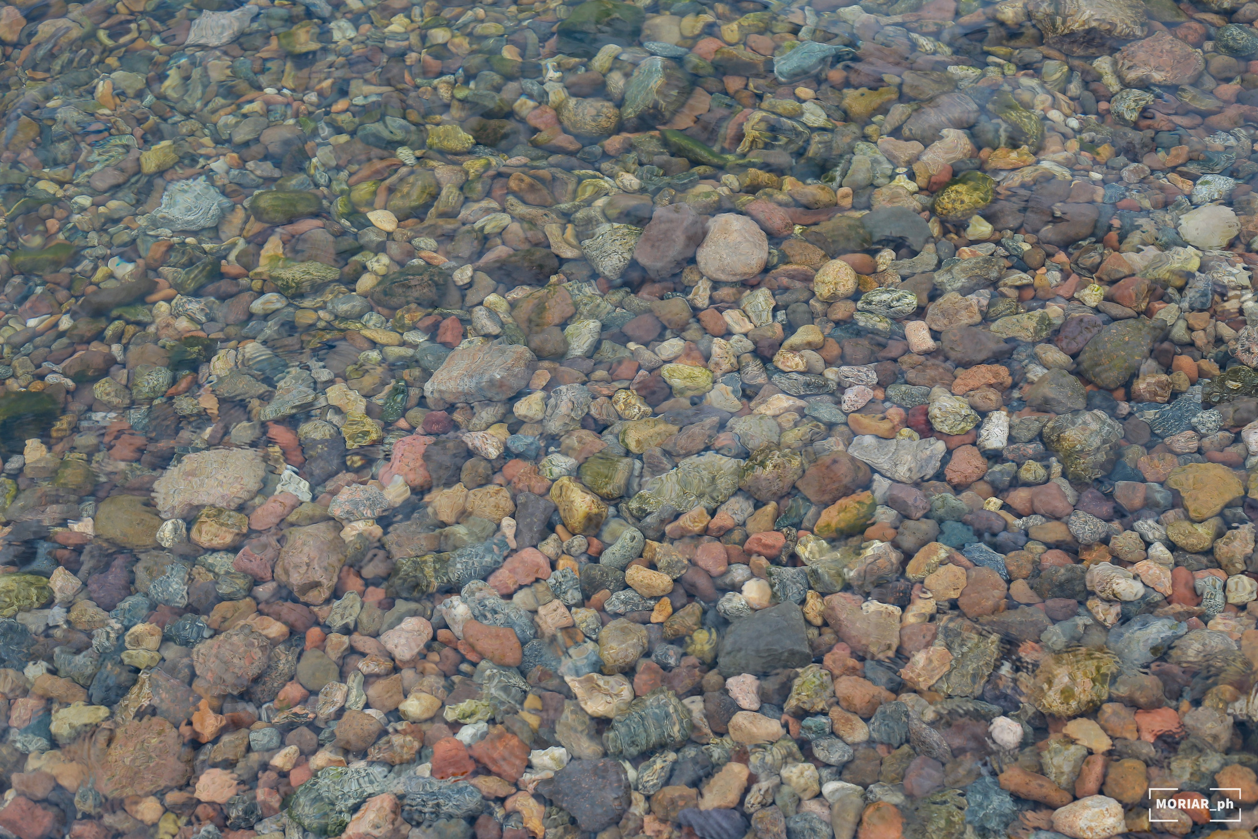 Отпуск. Портретный и репортажный фотограф в Кемерово Алексеева Анастасия