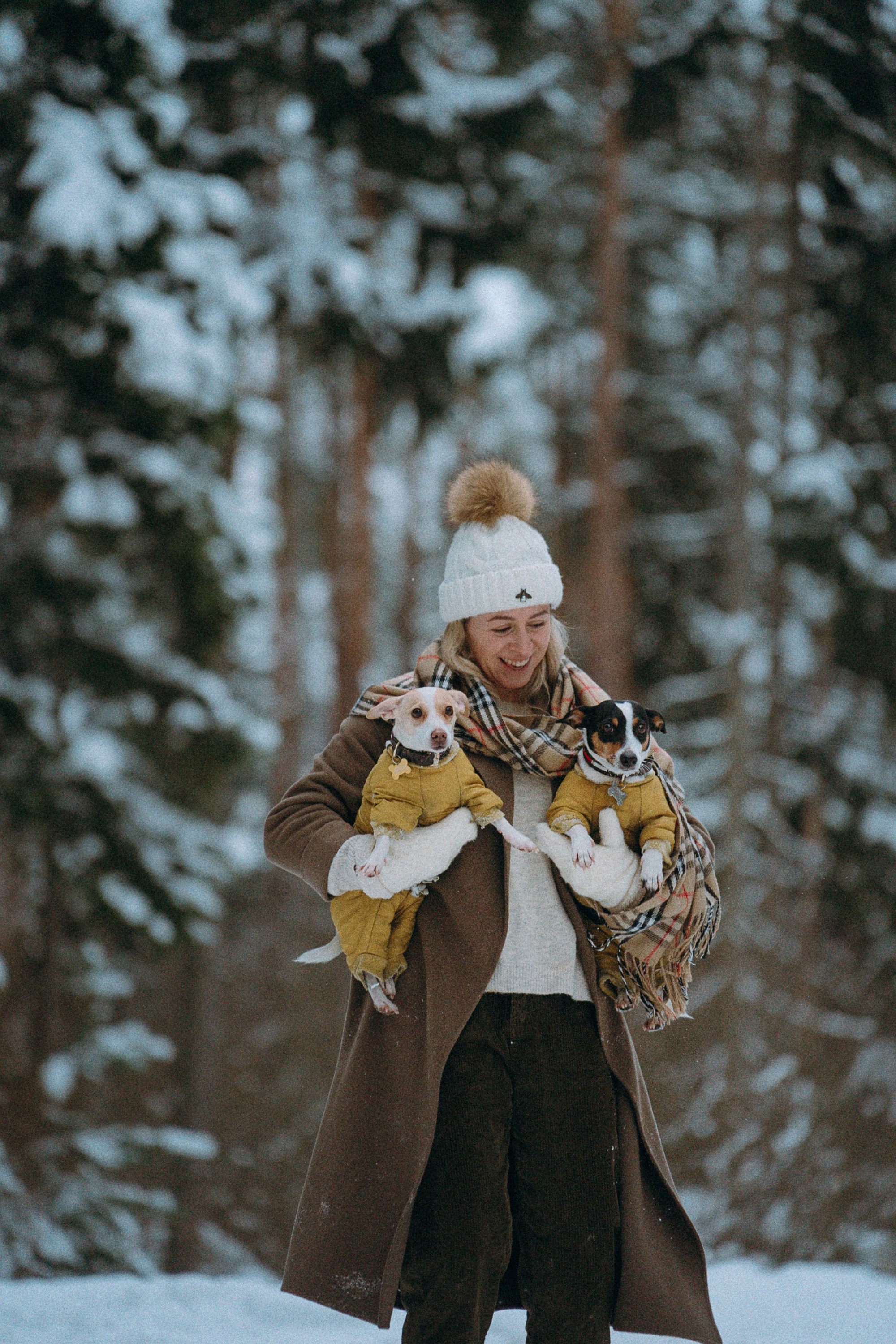 Алина, Ваниль и Элис. Фотограф анималист в Москве и Санкт-Петербурге Свиридова Анна