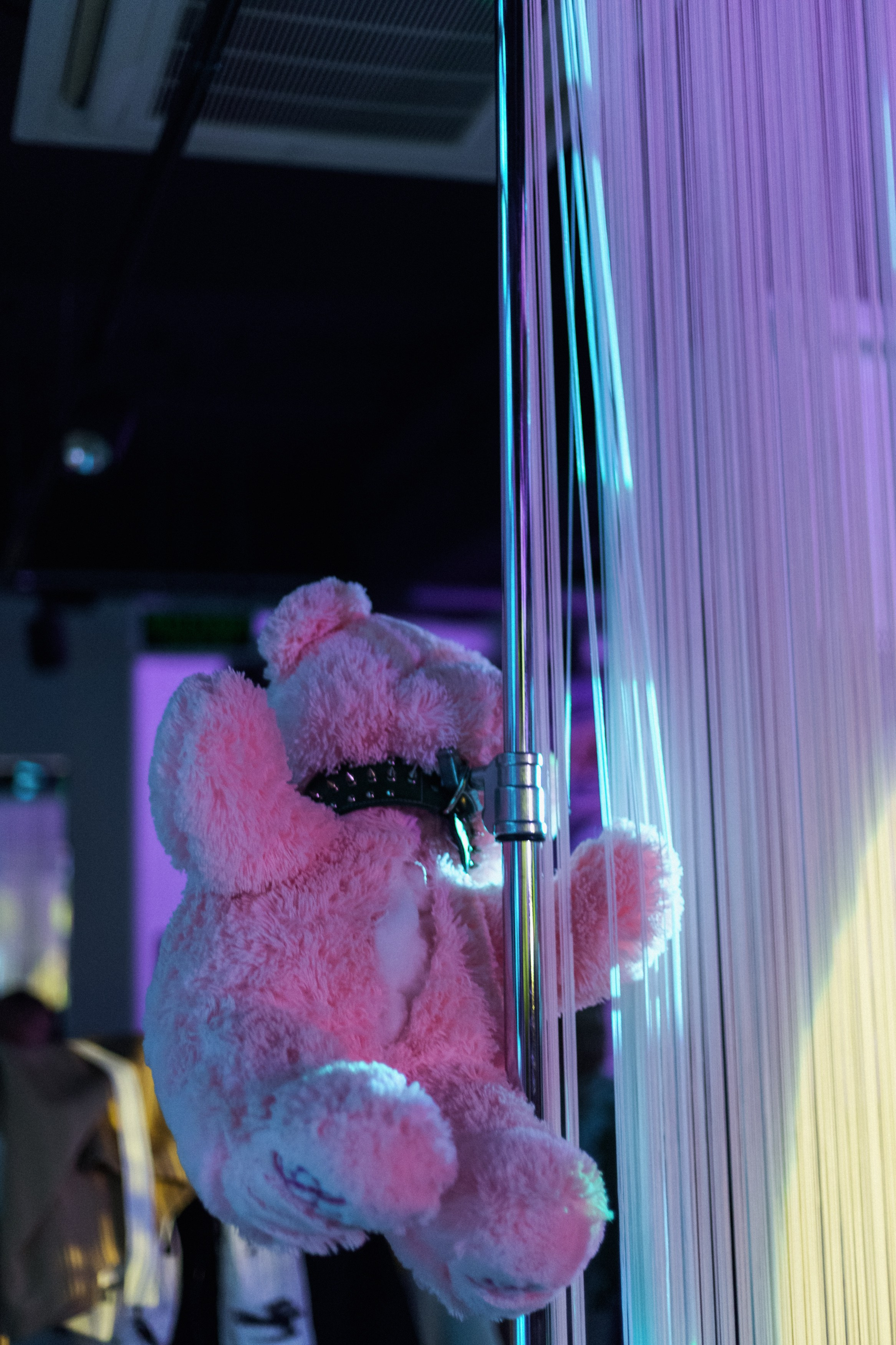 DGD WILD PINK. СВОИ. ФОТООТЧЕТЫ-СОБЫТИЯ-МЕСТА