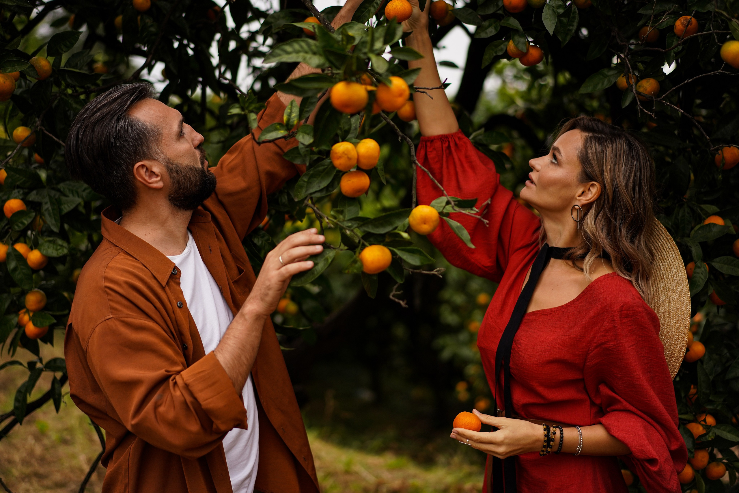 Lovestory на плантации с мандаринами в Абхазии. Фотограф Москва и Видеограф Москва