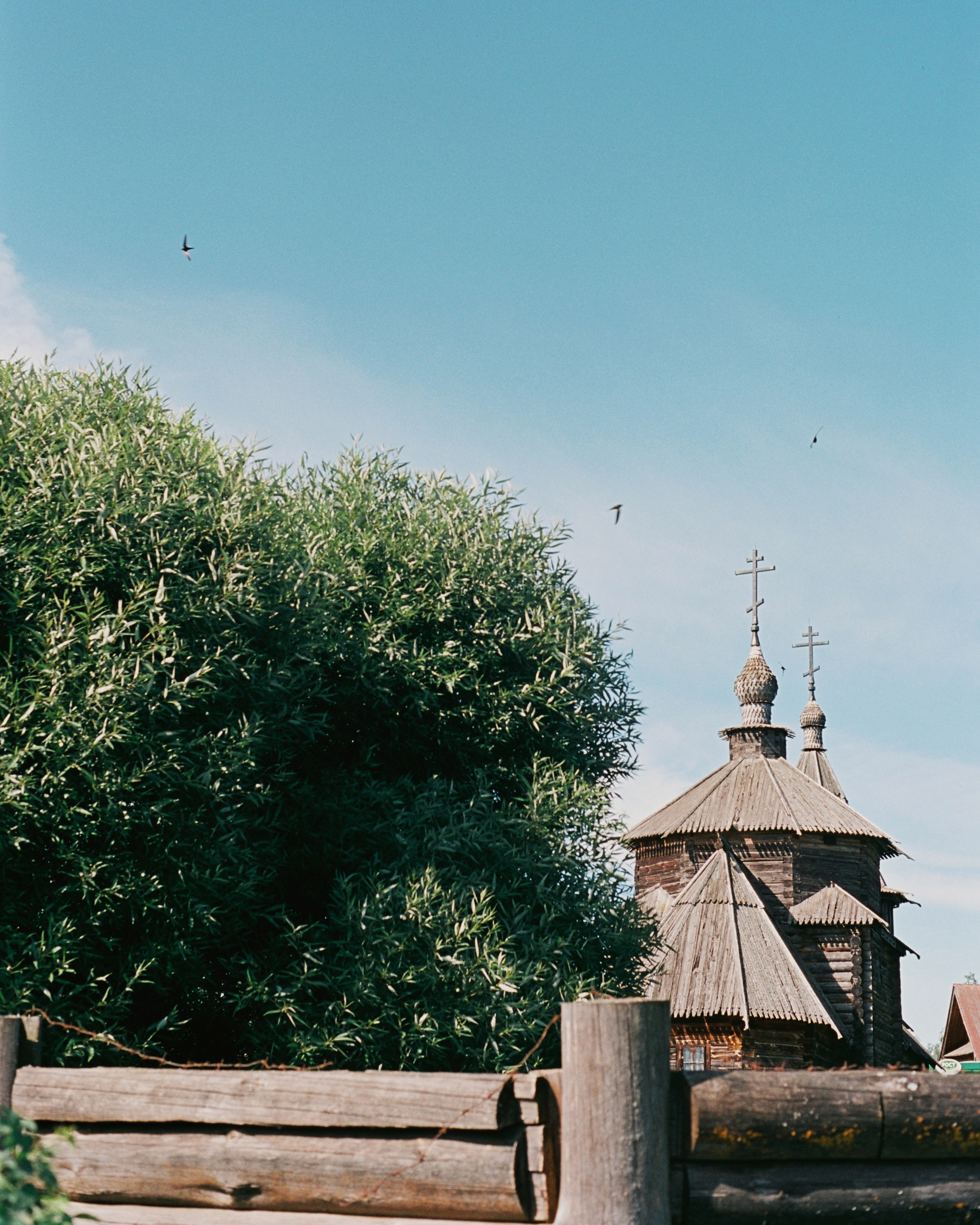 SUZDAL. ANNA — PHOTOGRAPHER
