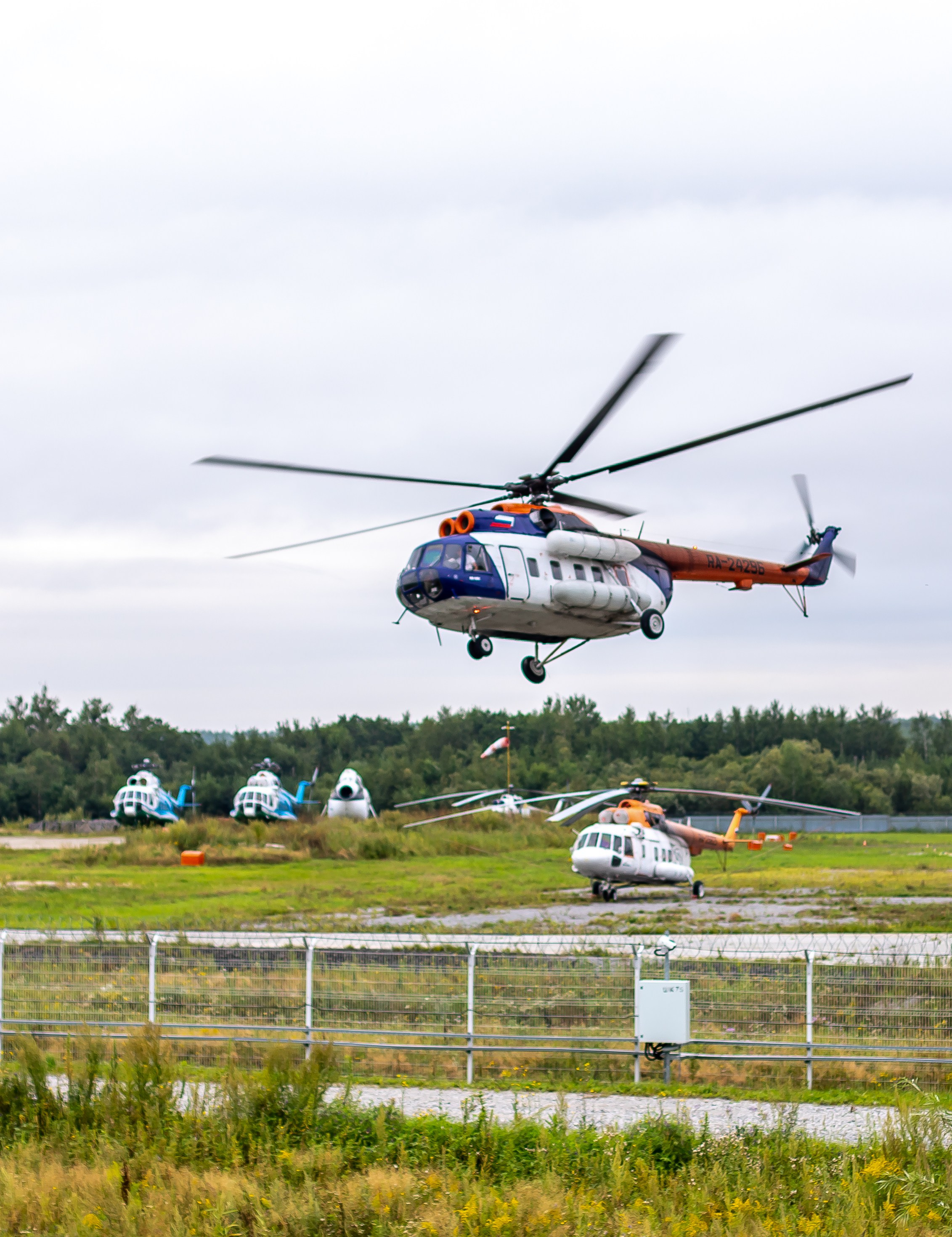 Споттинг 2024. Семейный и детский фотограф в Хабаровске Алевтина Проскурякова