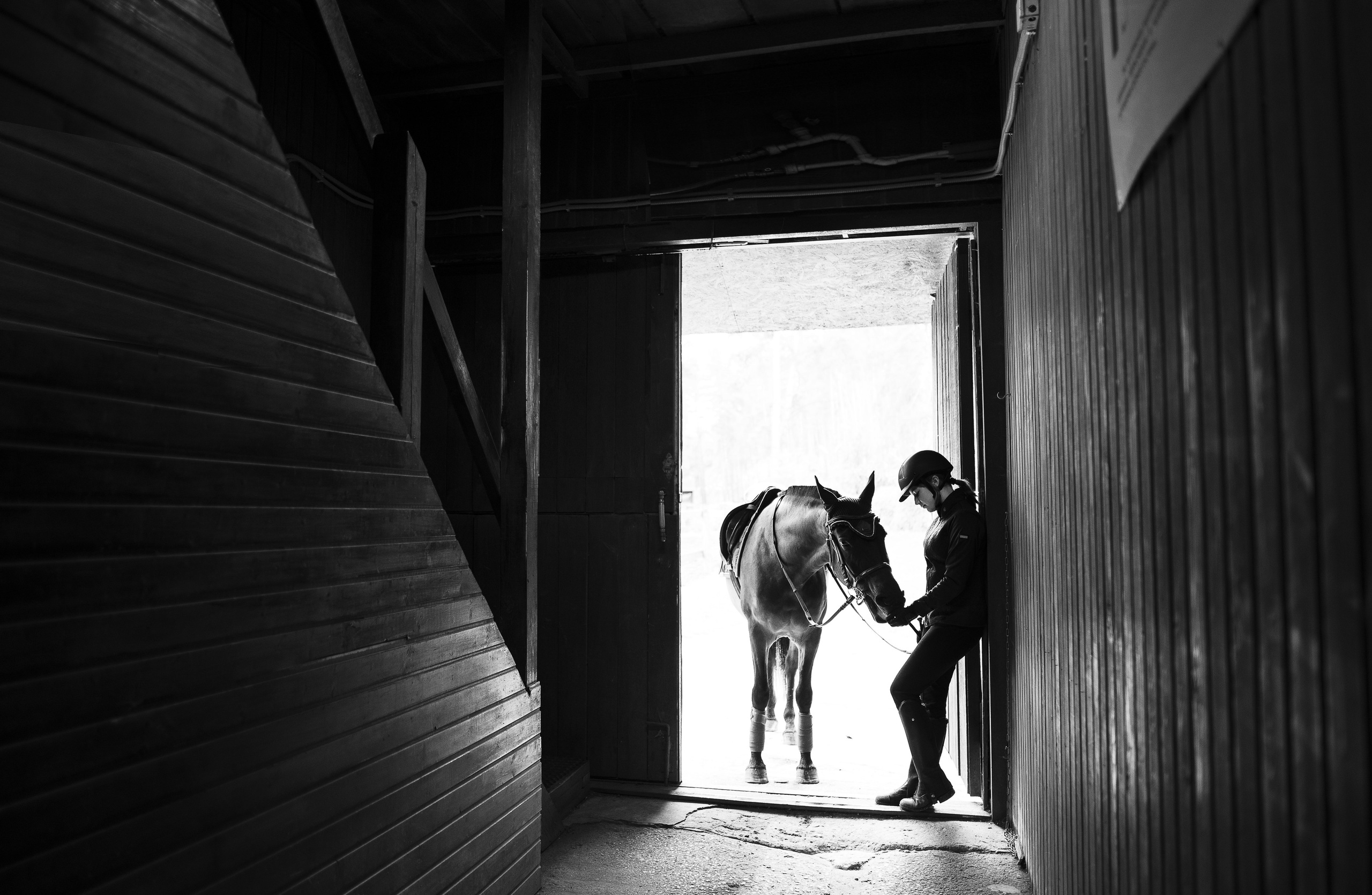 Фотосессия с животными в Туле, фотограф Женя Смокина