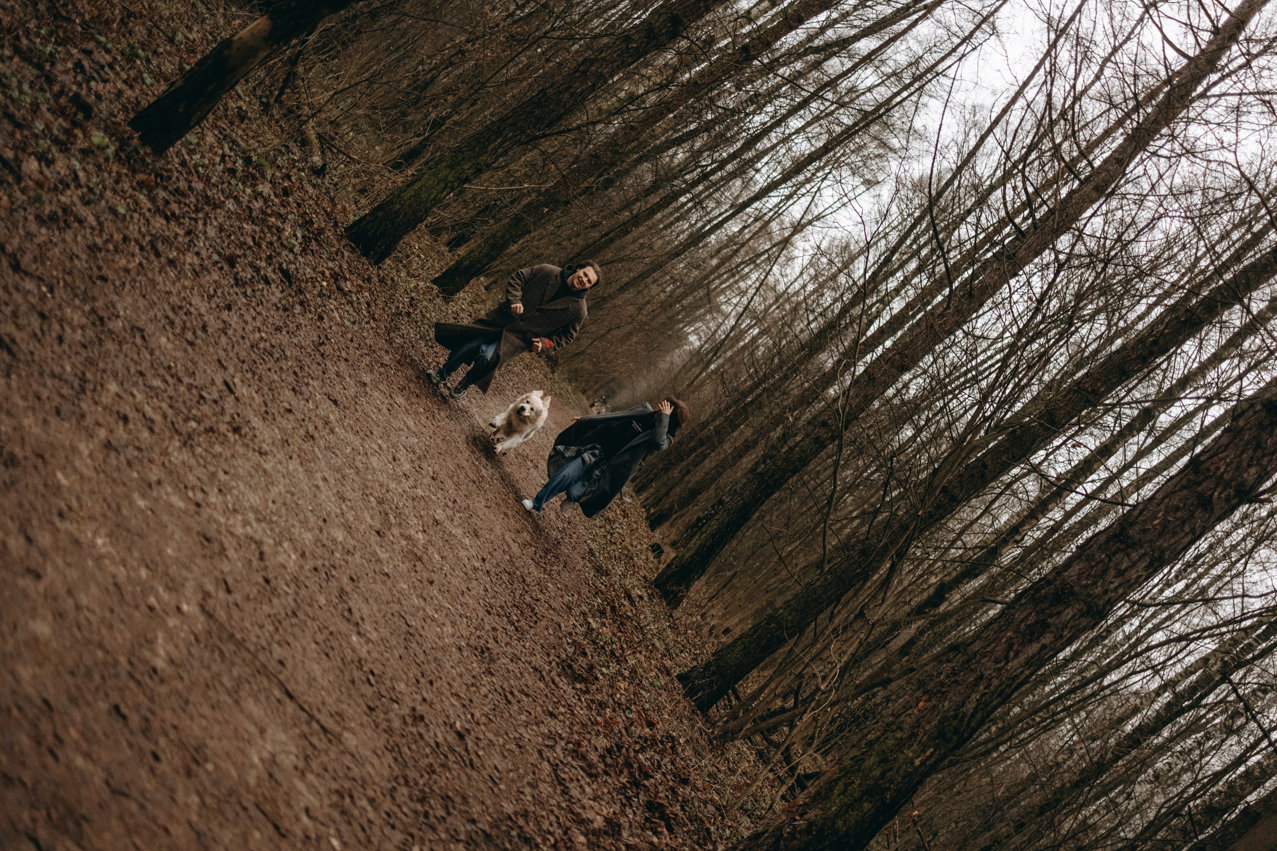 Лаки и его семья. Фотограф — Анималист | Санкт-Петербург