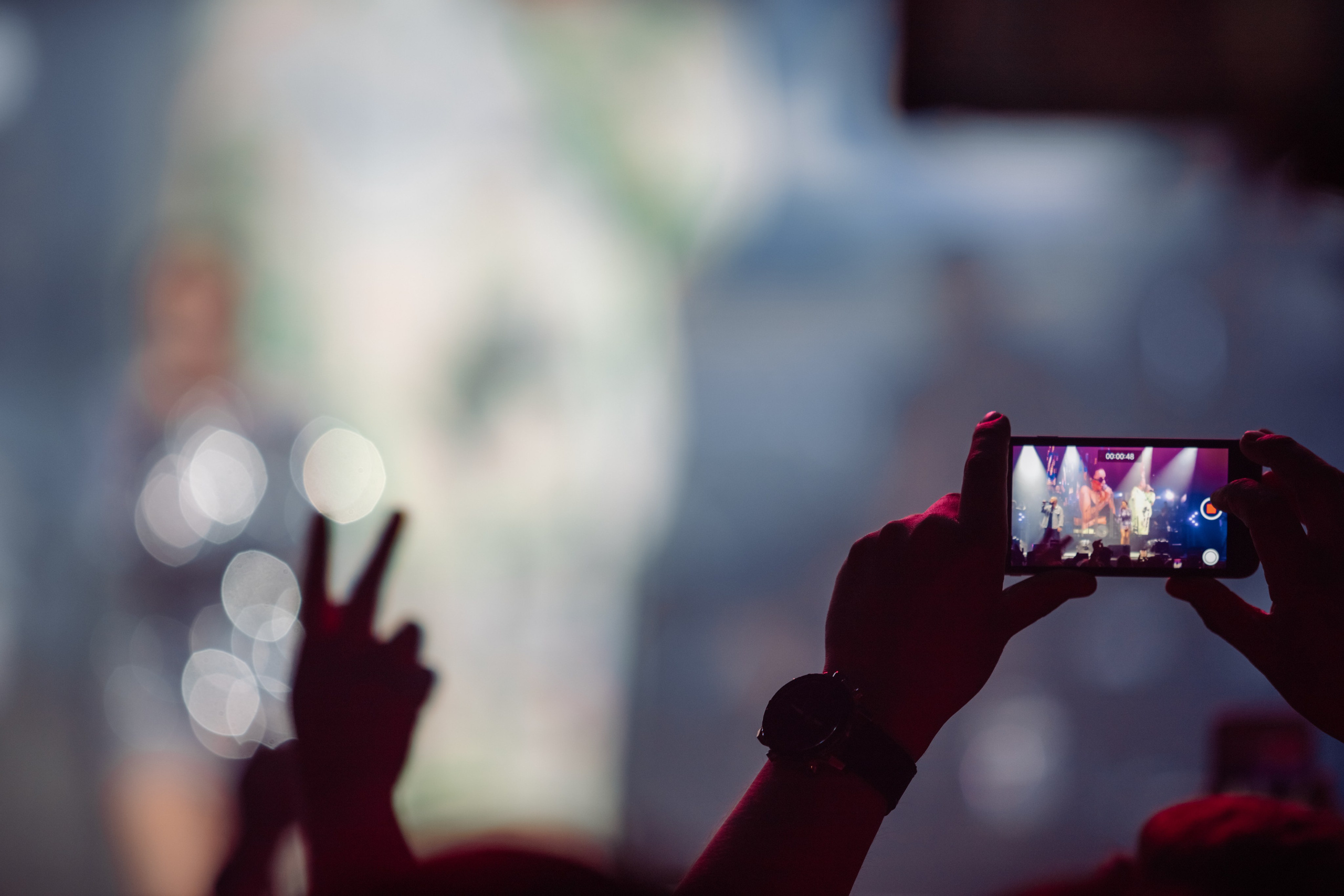 Рилсмейкер и его отличие от видео. Gan media. Свадебные видео и фото в Барнауле. Антон Губанов