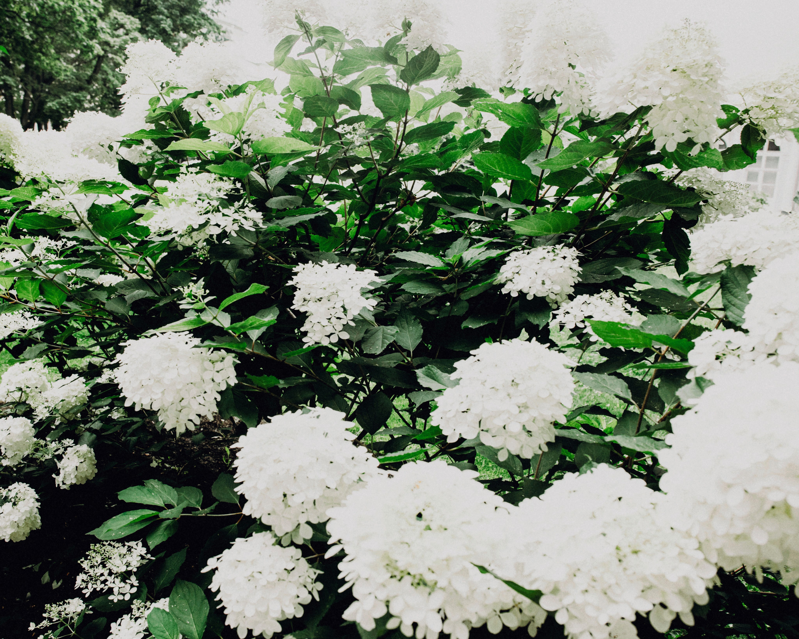 Катерина. Портретный фотограф Ванинен Анастасия. Санкт-Петербург