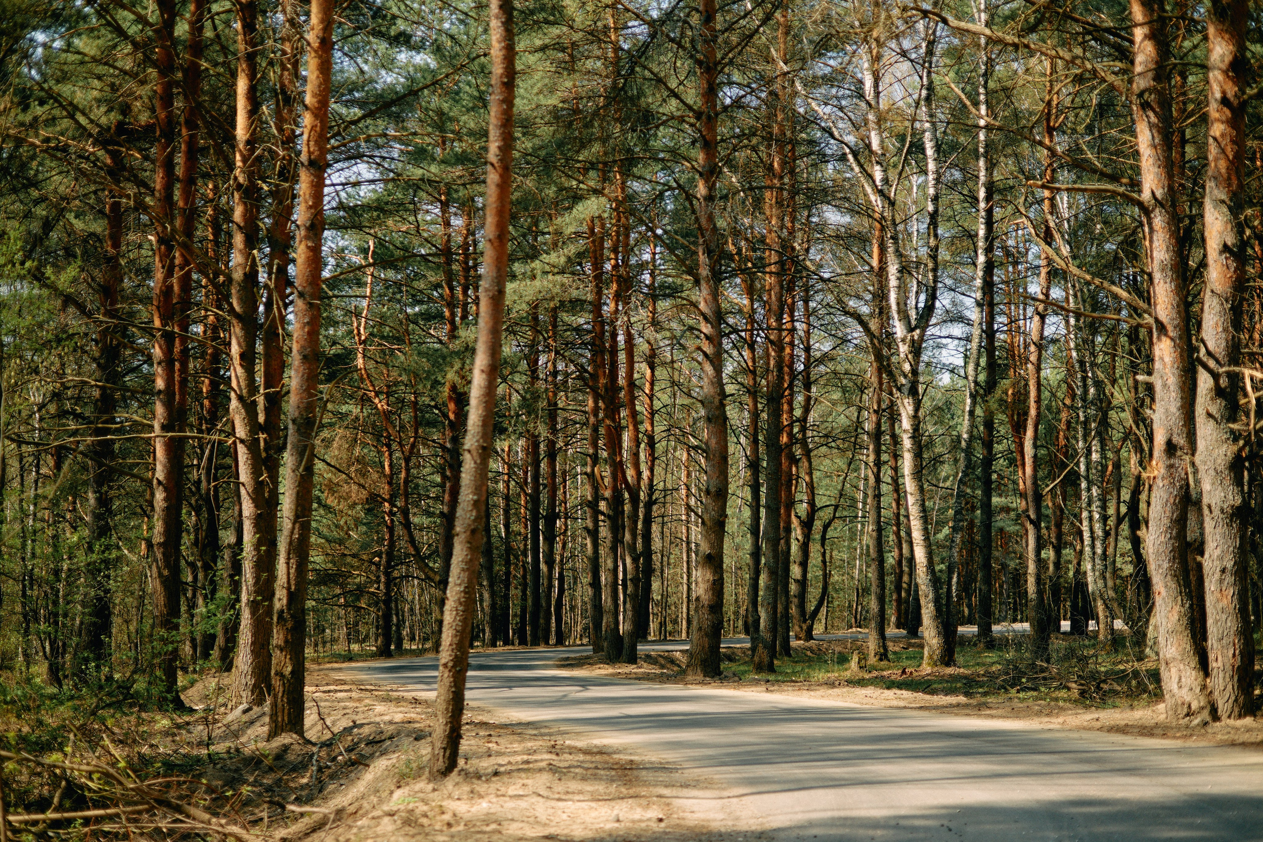 Бутик-отель Поле летом. Профессиональный Фотограф во Владимире, в Москве и в Суздале — Полина Романычева