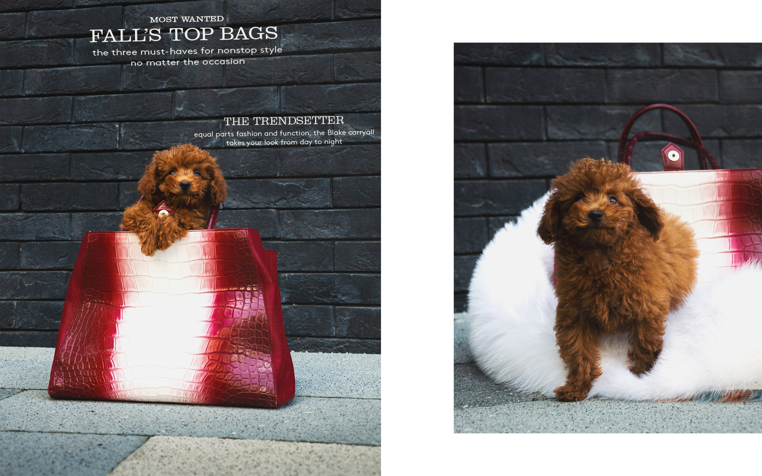 ФОТОСЕССИЯ ЩЕНКОВ. Будуарный фотограф Kris Murr|Москва|Съемки FASHION|BOUDOIR|NUDE