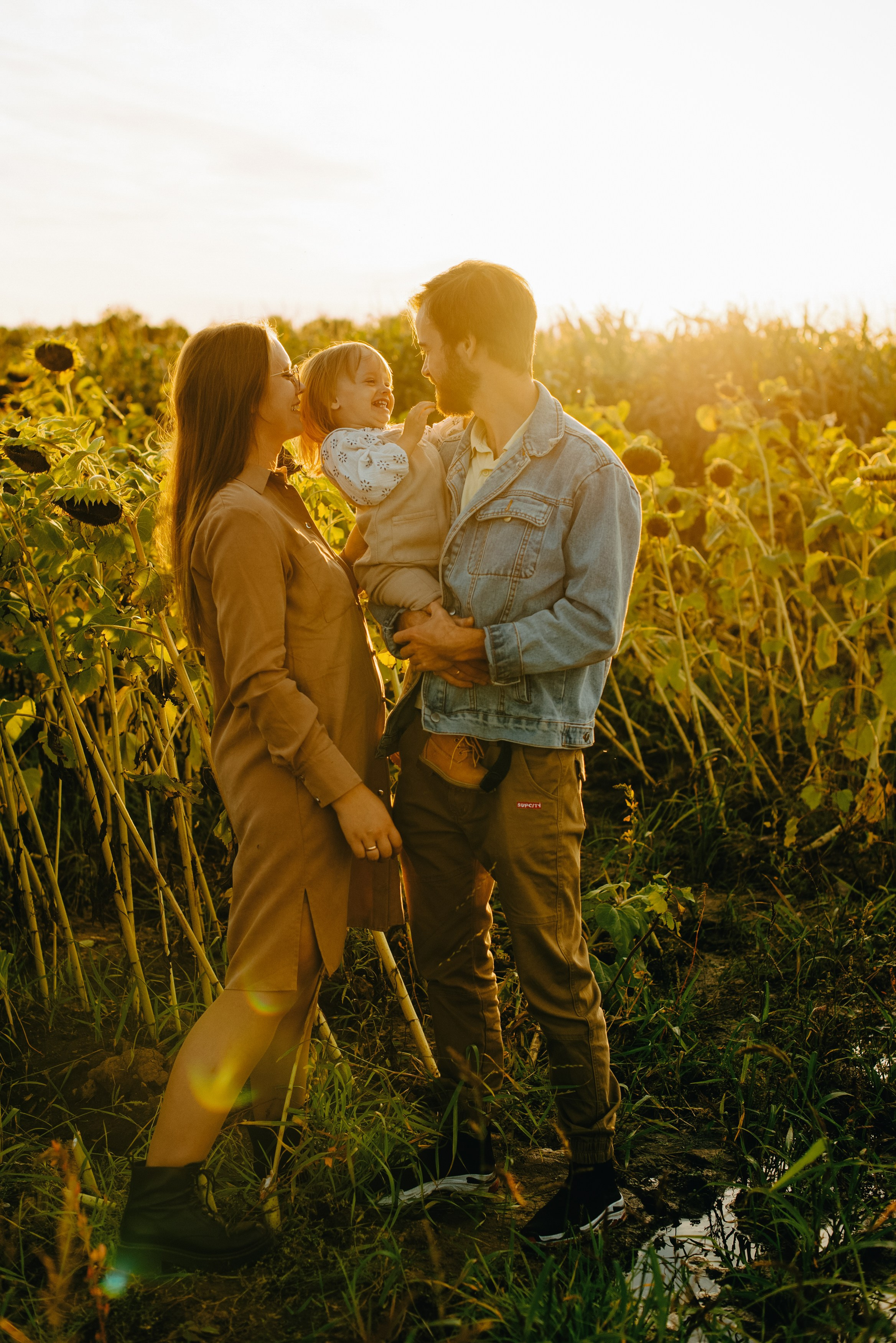 ПОДСОЛНУХИ. Шашкова Вероника / Свадебный и семейный фотограф Москва и Ярославль