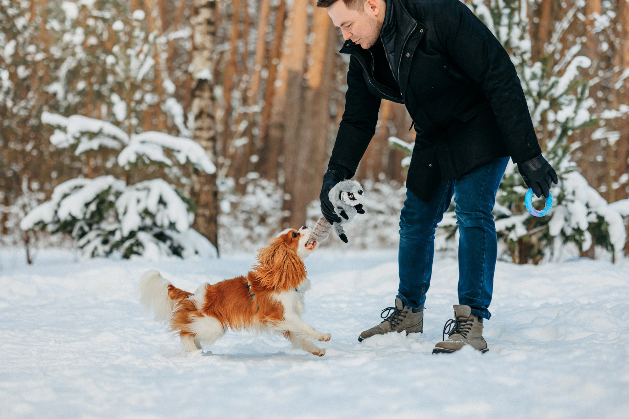 Юля, Илья и Майкл. Фотограф-анималист Елена Радченко, Москва