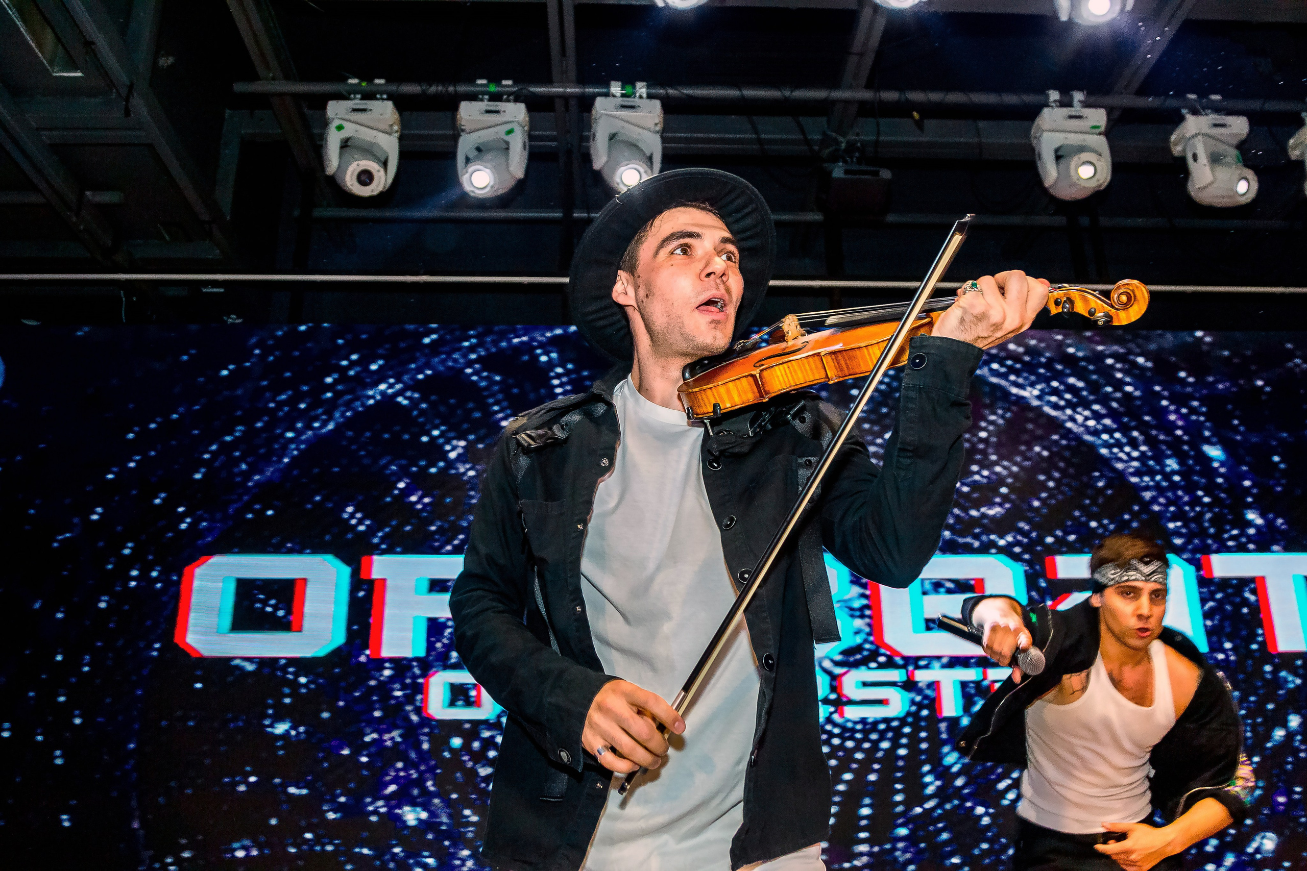 Репортажная съемка в Москве и области. Анималистика