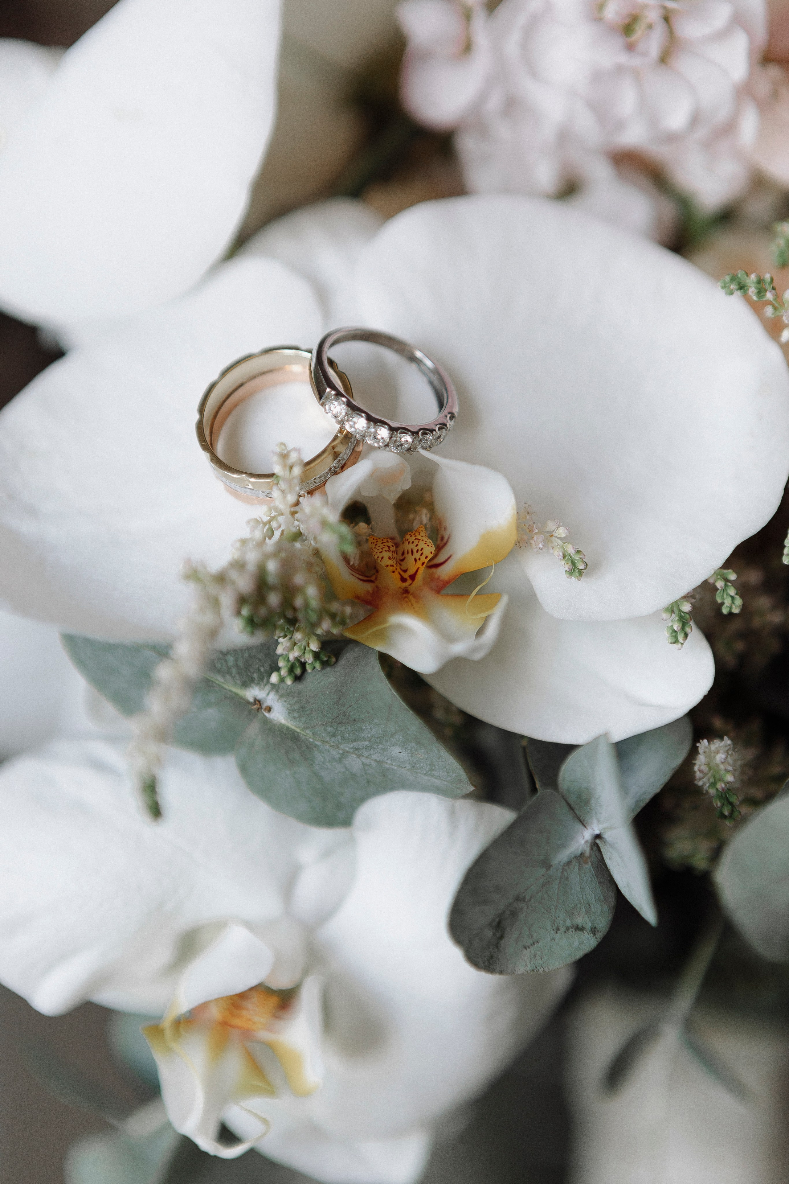 Свадьба Дмитрия и Екатерины. Фотограф Кольчугино/Владимир/Москва Елизавета Иода