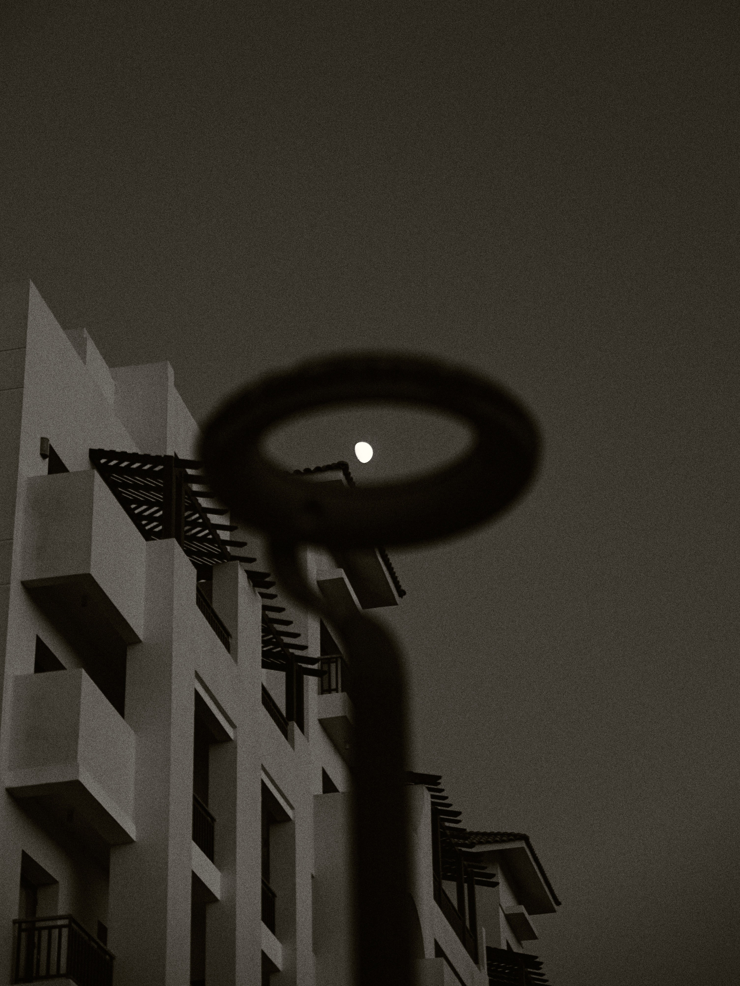 B&W. Jorgis — фотограф в Хургаде / обучение фотографии