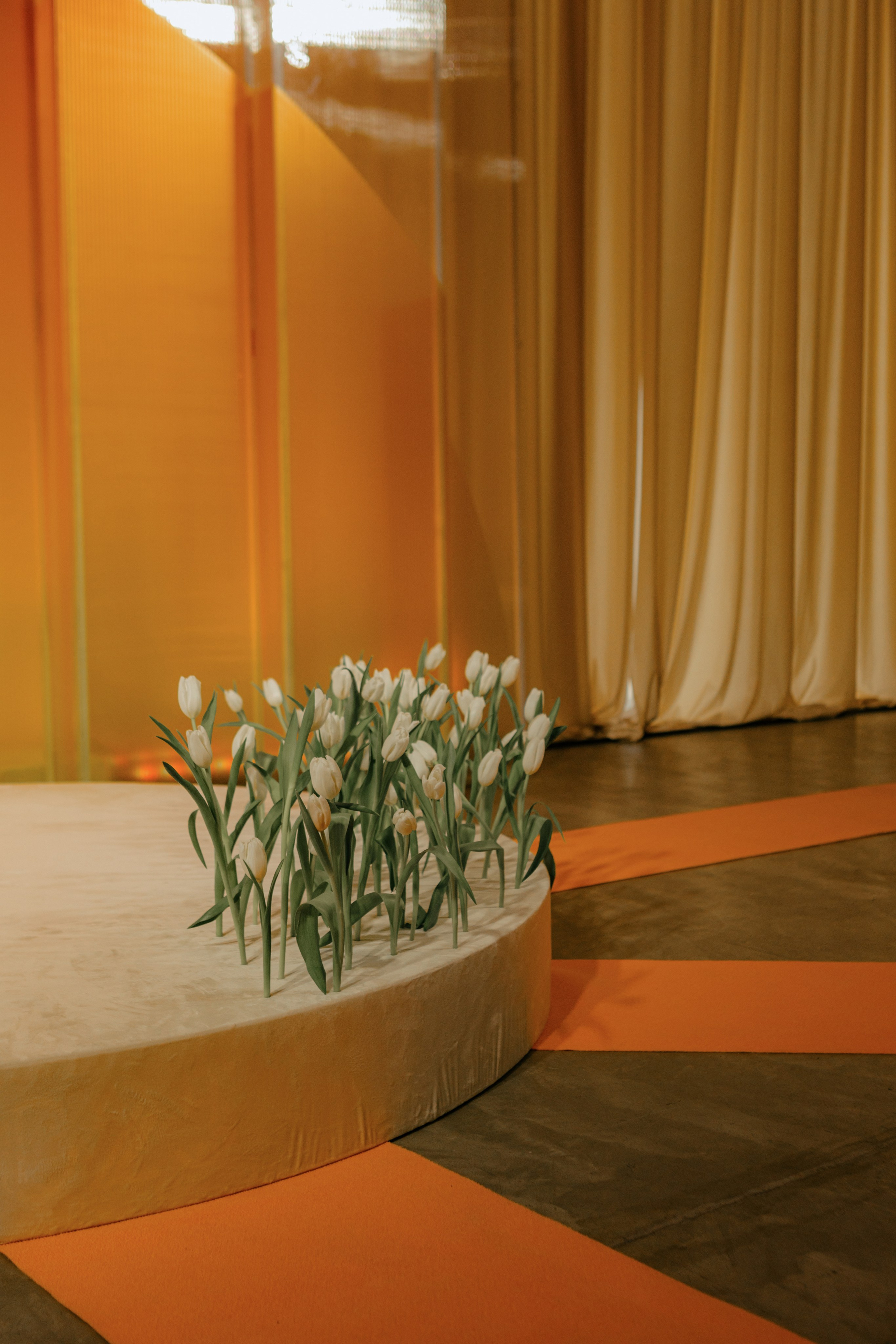 «НА ЗАРЕ» | 01.03.2025| г. Москва, Hertz hall. МашаШарики | Декоратор | Москва