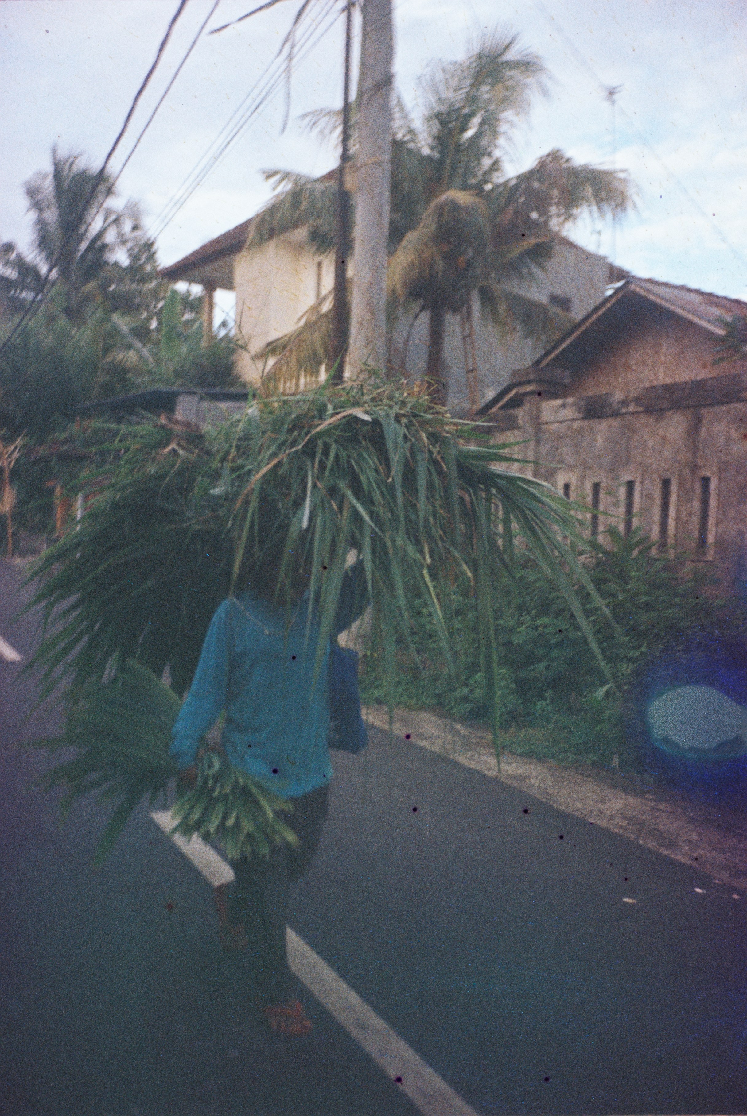 SWASTIASTU. Сocoobird || Атмосфера твоего бренда в снимках и видео