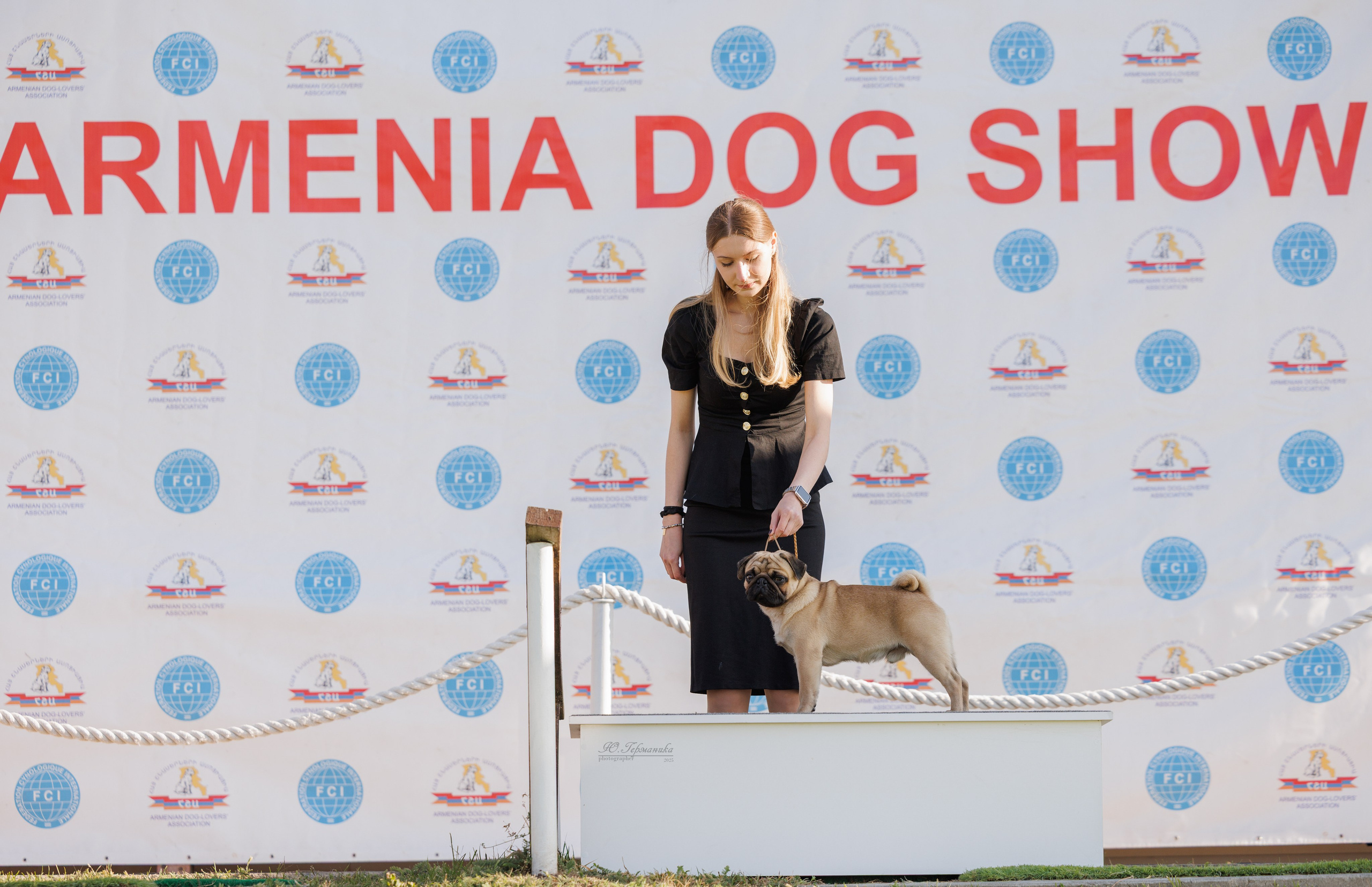 Ереван 14-16.10.2025. Фотограф-анималист Юлия Германика