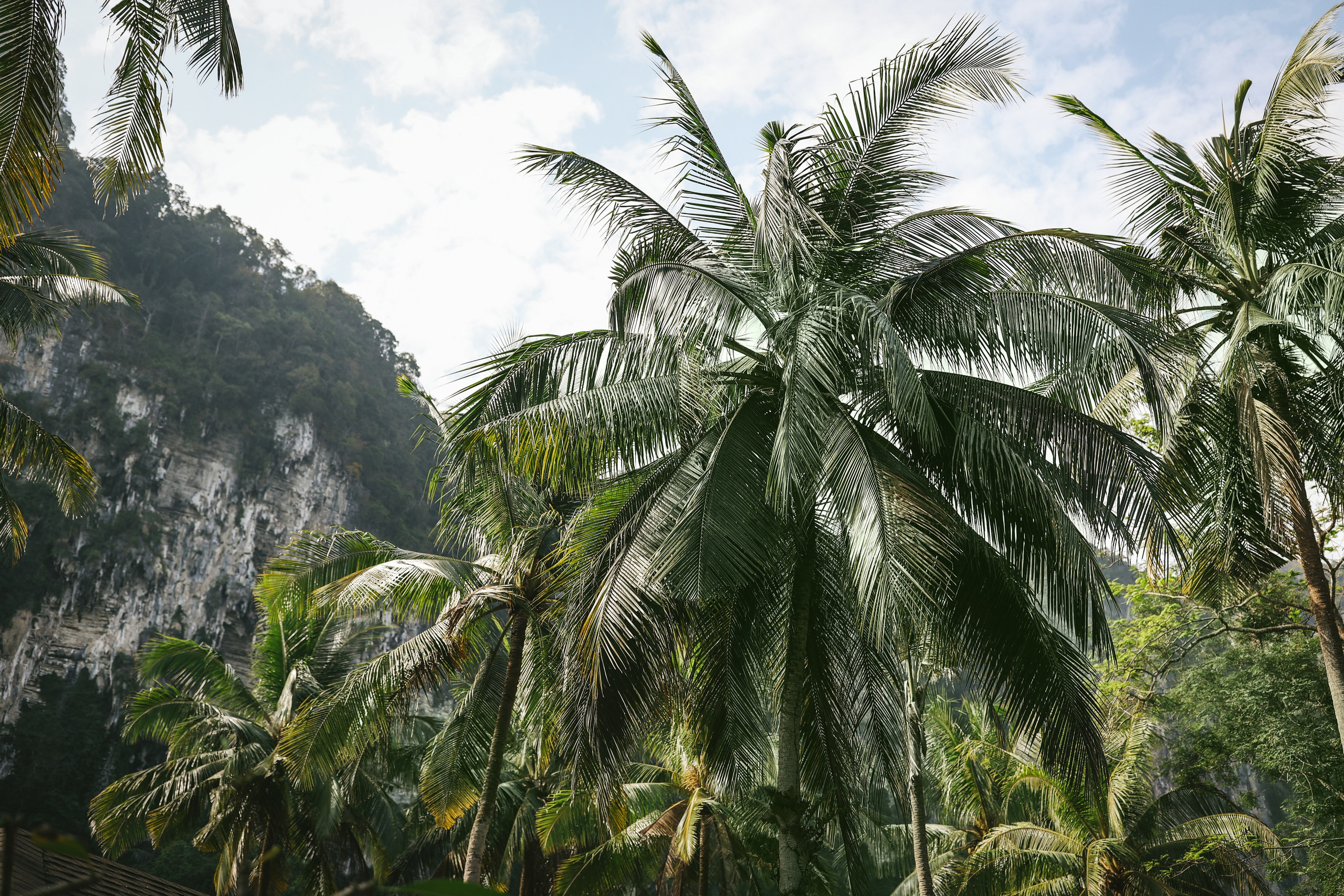 Thailand / Ban Sainai Resort. Ekaterina Buneeva Photography