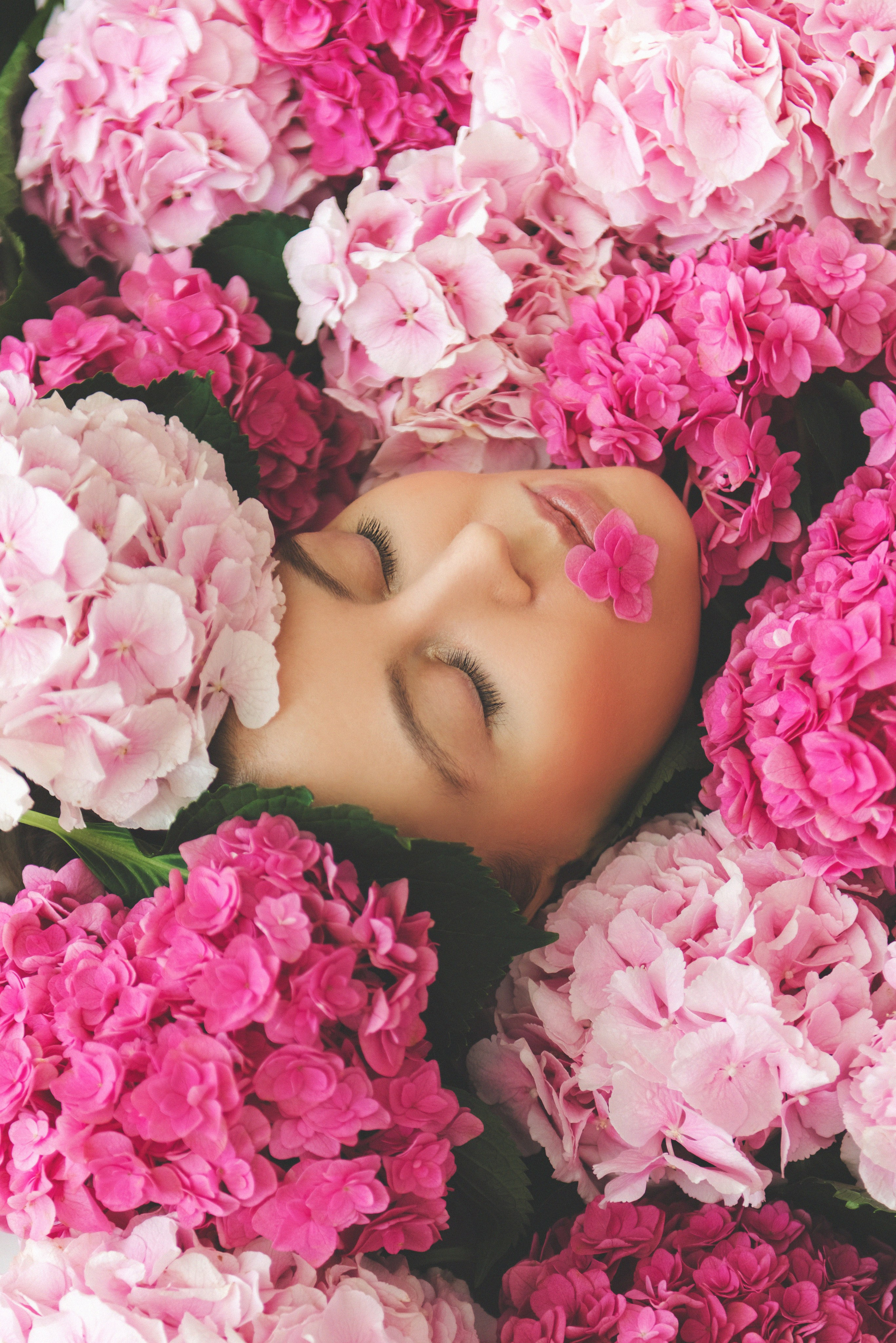 Гортензии. Фотограф новорожденных и детей в Барнауле — Екатерина Шапкина