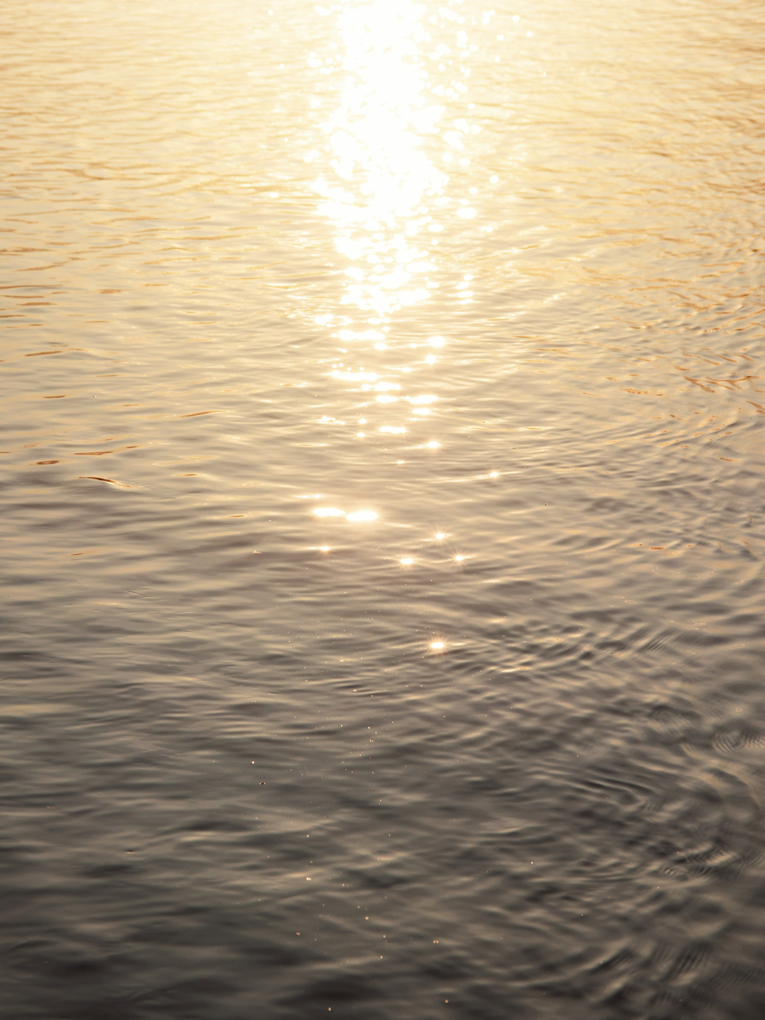 Жидкое золото. С любовью, фотохудожник