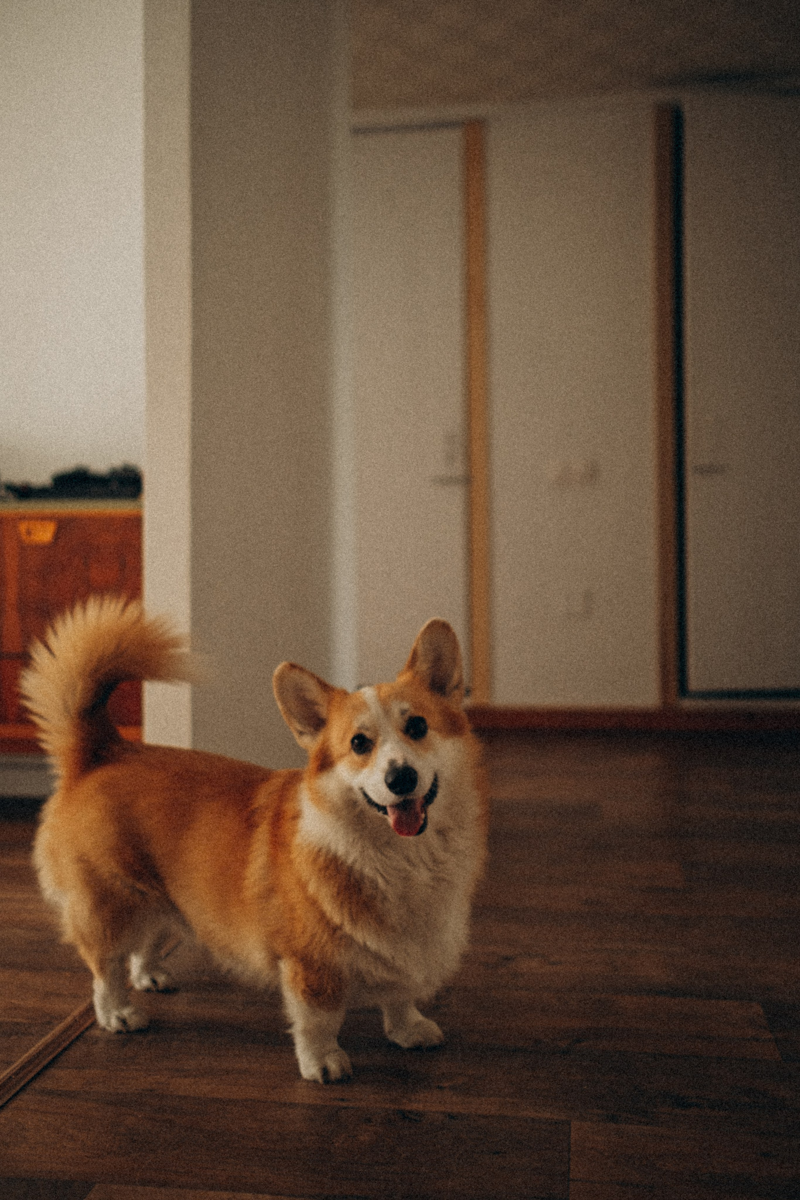 Настя и Максим. Екатерина Архипова фотограф в Санкт-Петербурге